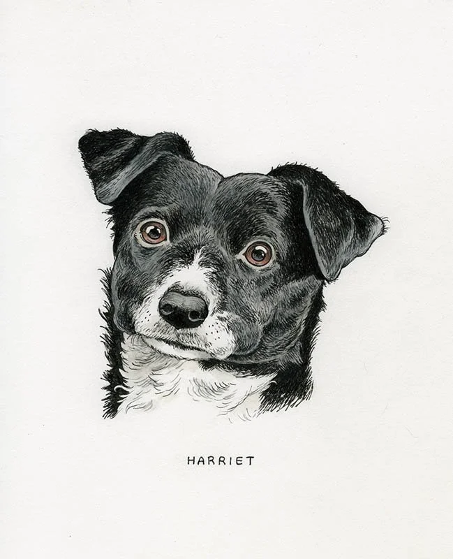 Harriet.jpg