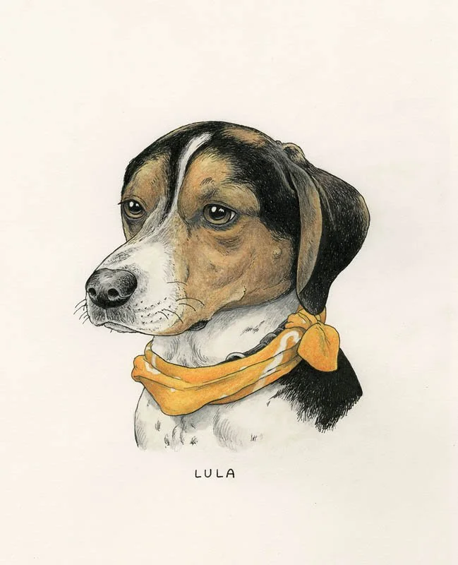 Lula.jpg