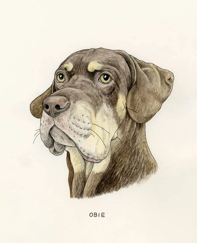 Obie.jpg