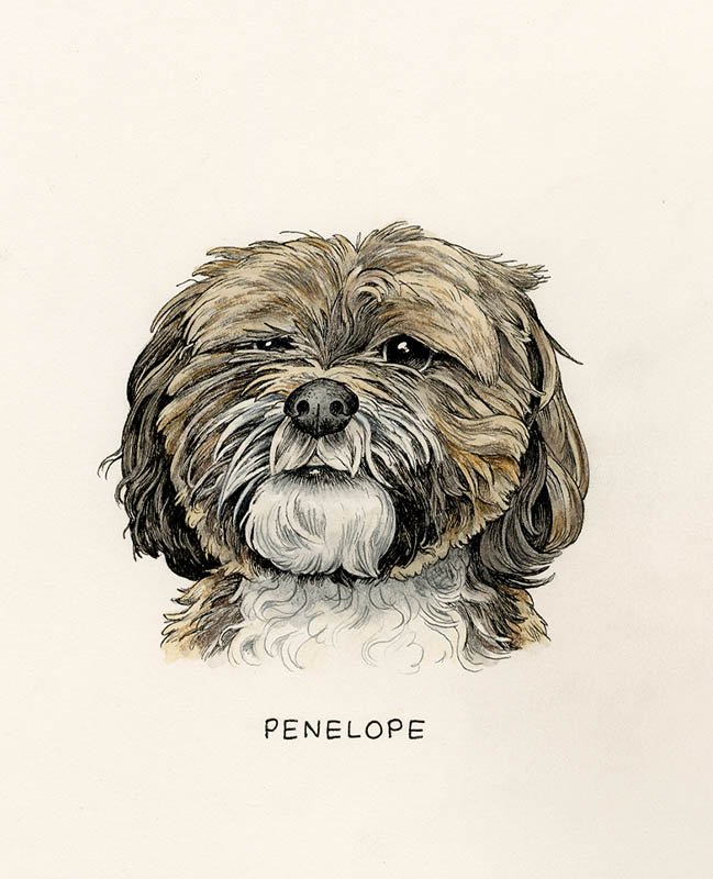 Penelope.jpg