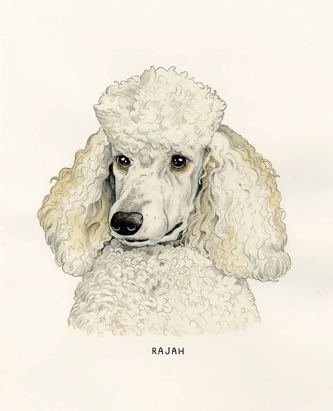 Rajah.jpg