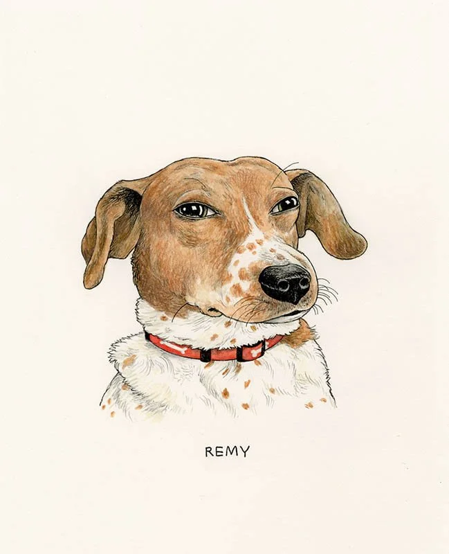 Remy.jpg