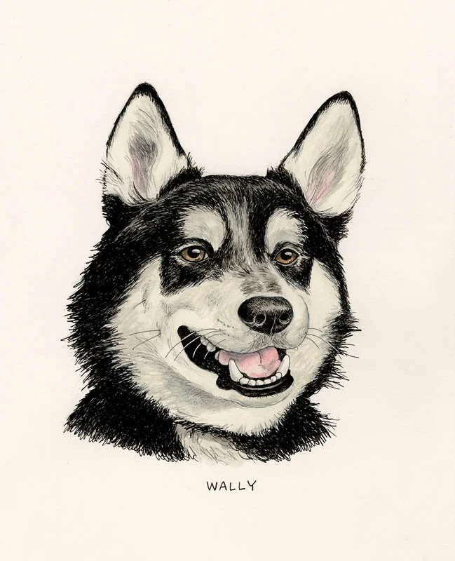Wally.jpg