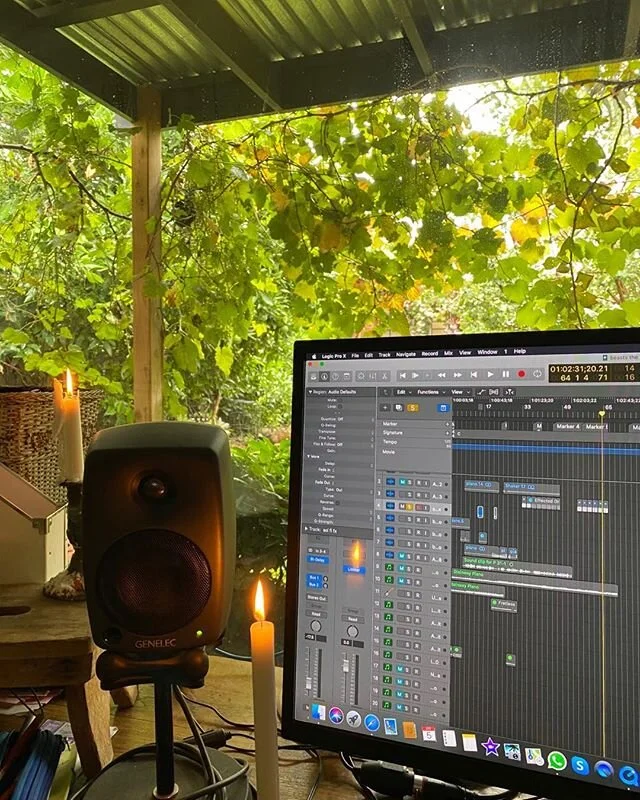 My studio with the light behind the vines #afternoonlight