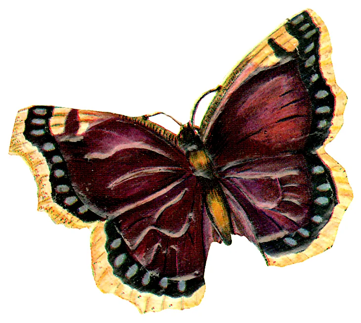 SHAMANISM Catherine Steinberg