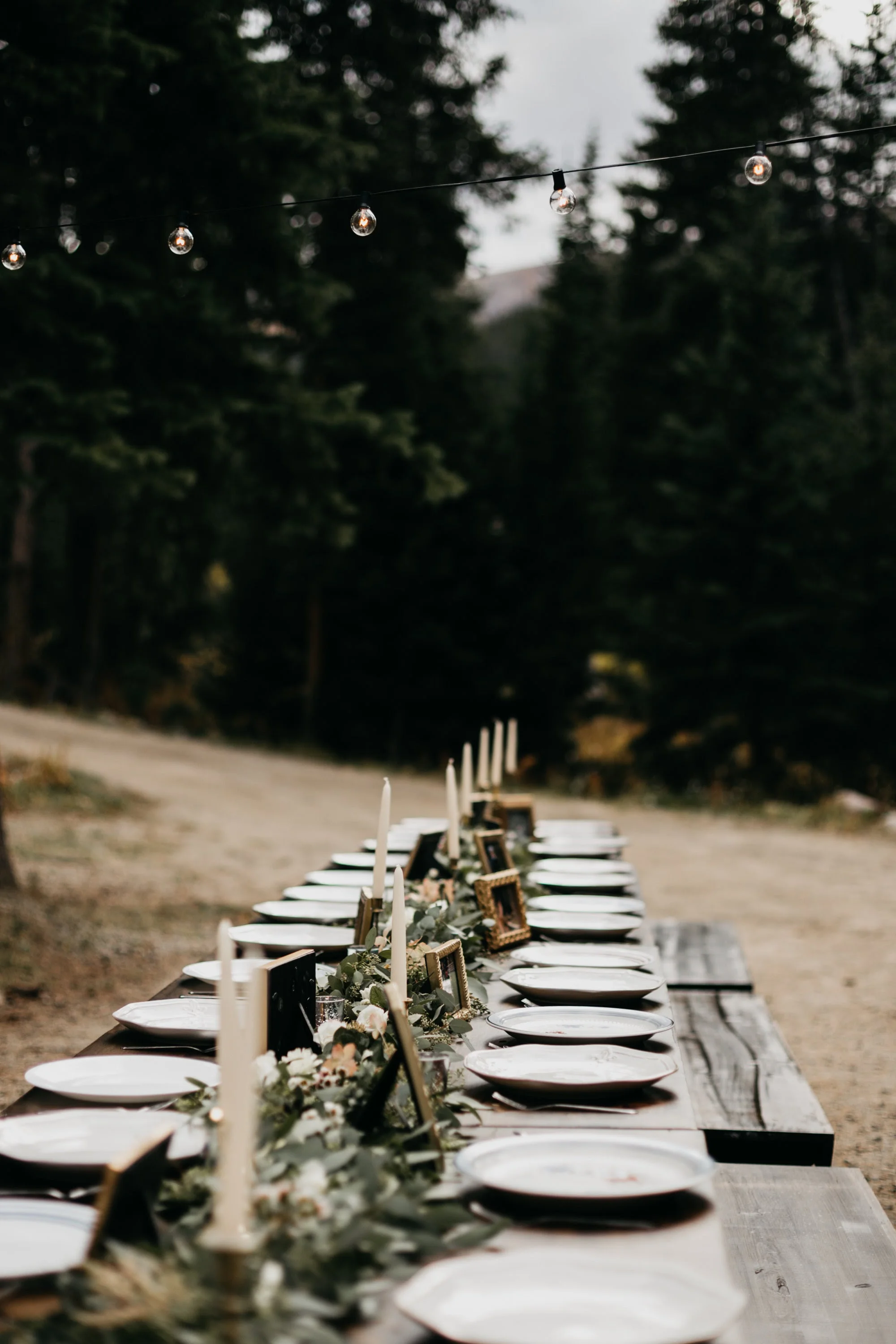 Sasha+Cole-reception-11.jpg