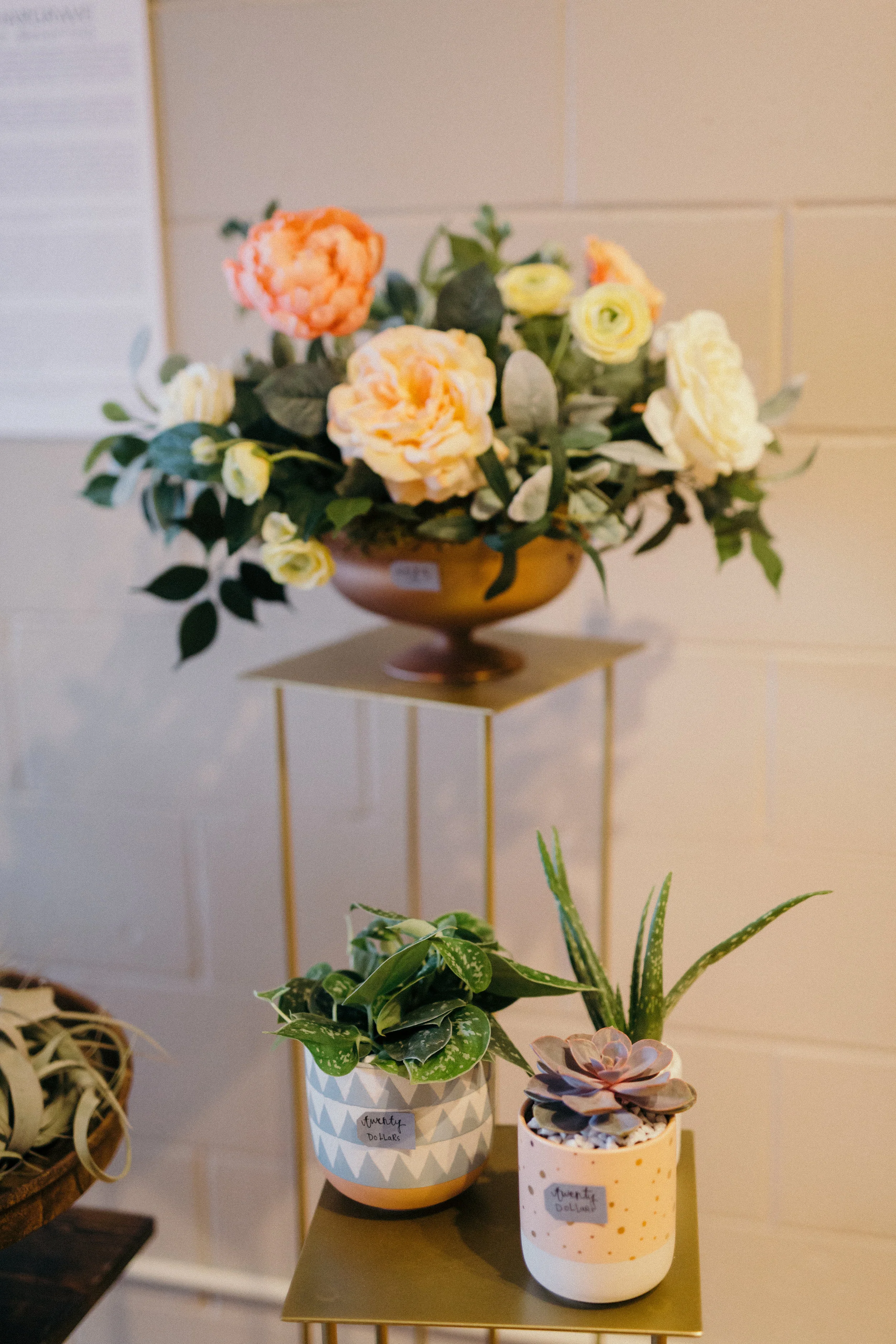flourish-43.jpg