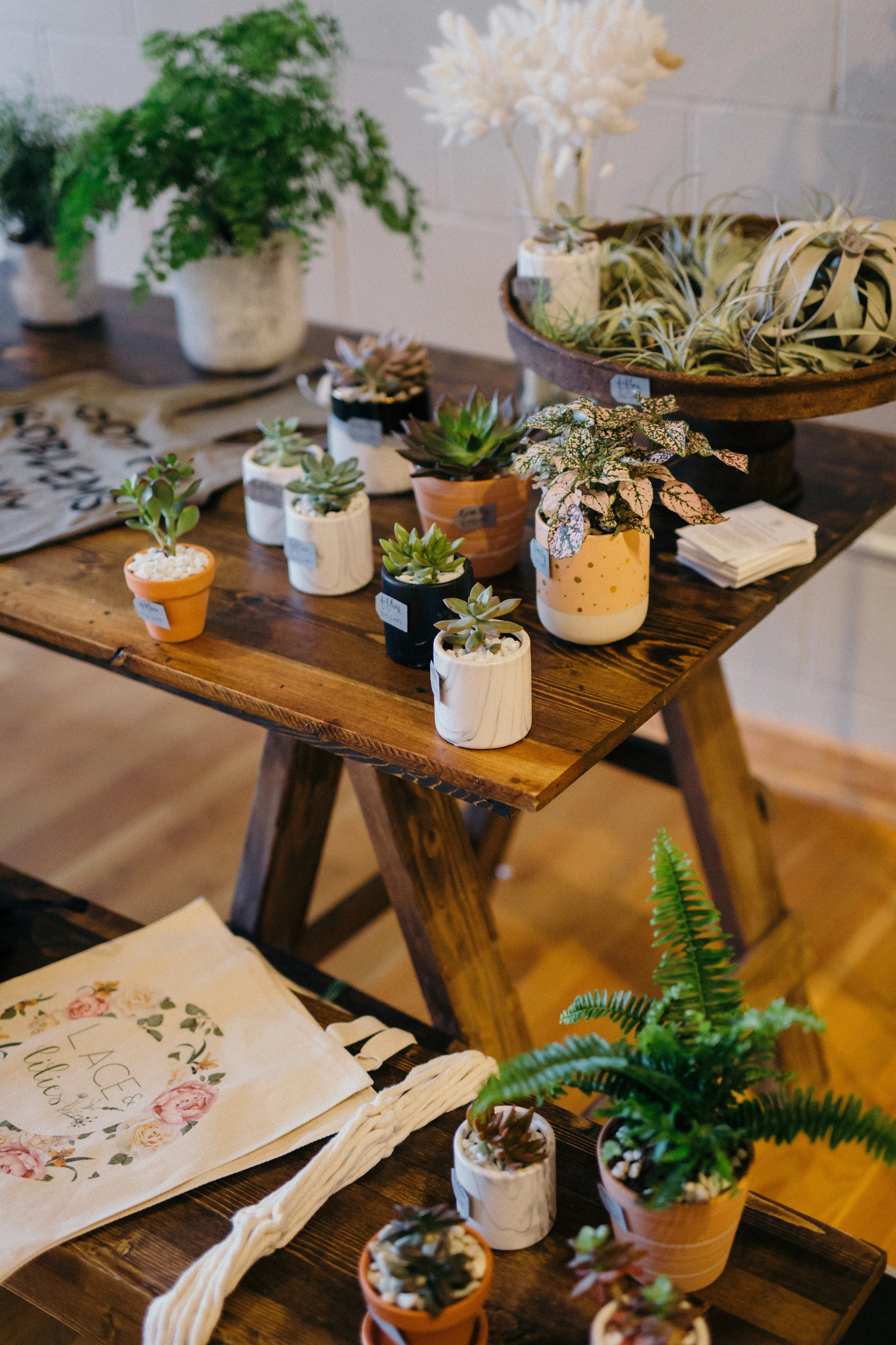 flourish-44.jpg