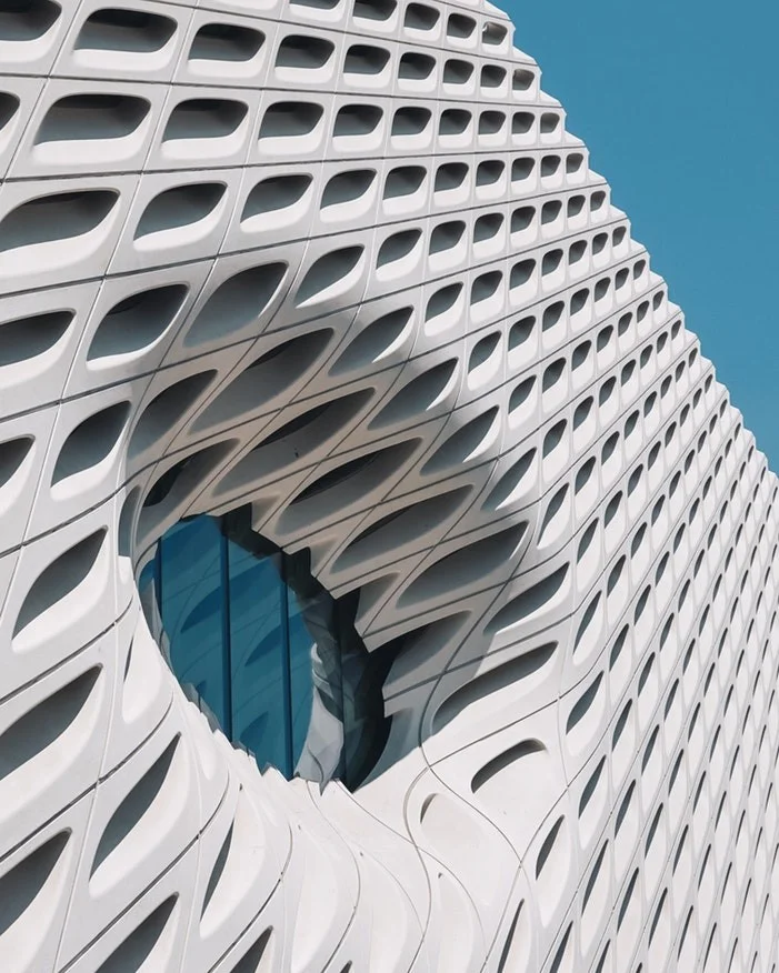 Biomorphic Form and Pattern.jpg