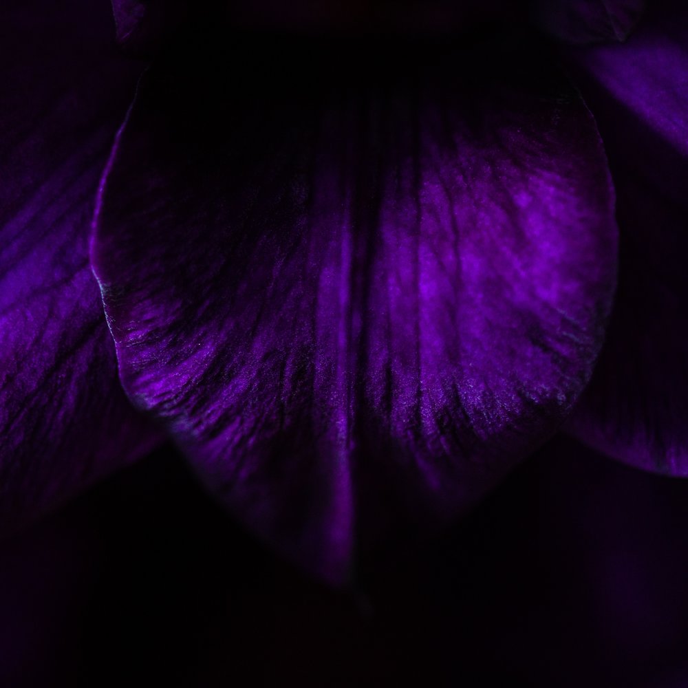 ultra violet 5.jpg