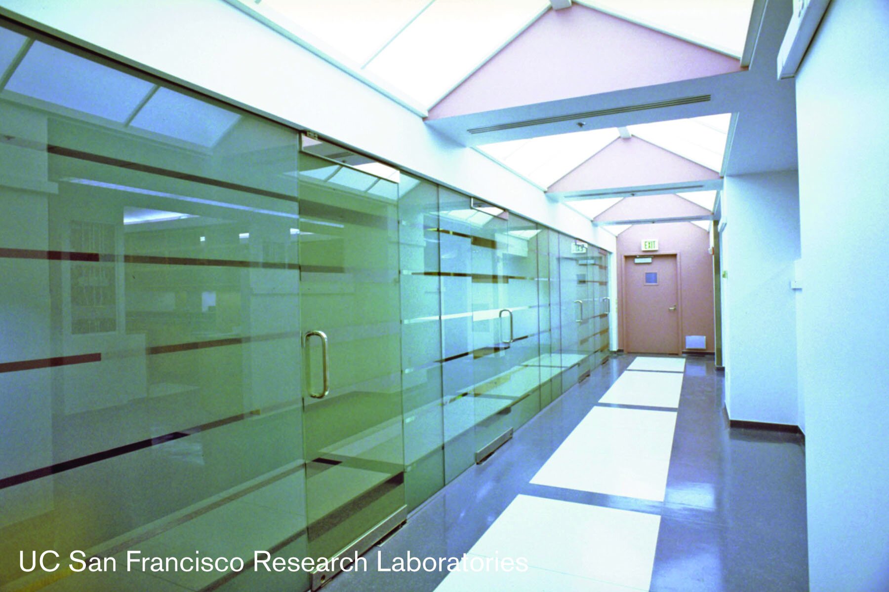 UCSF - Labs.jpg