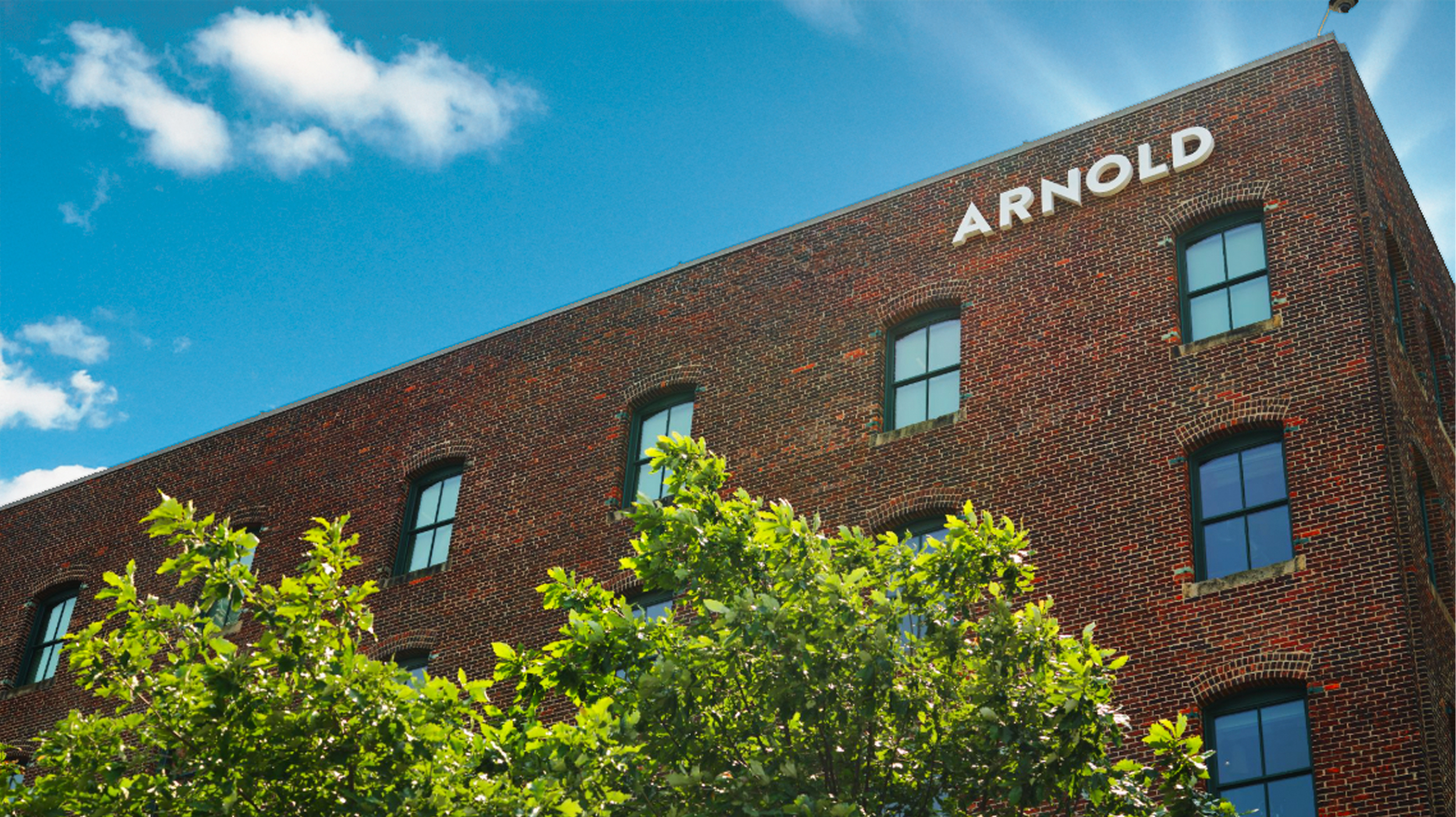 Arnold Holiday Pitch