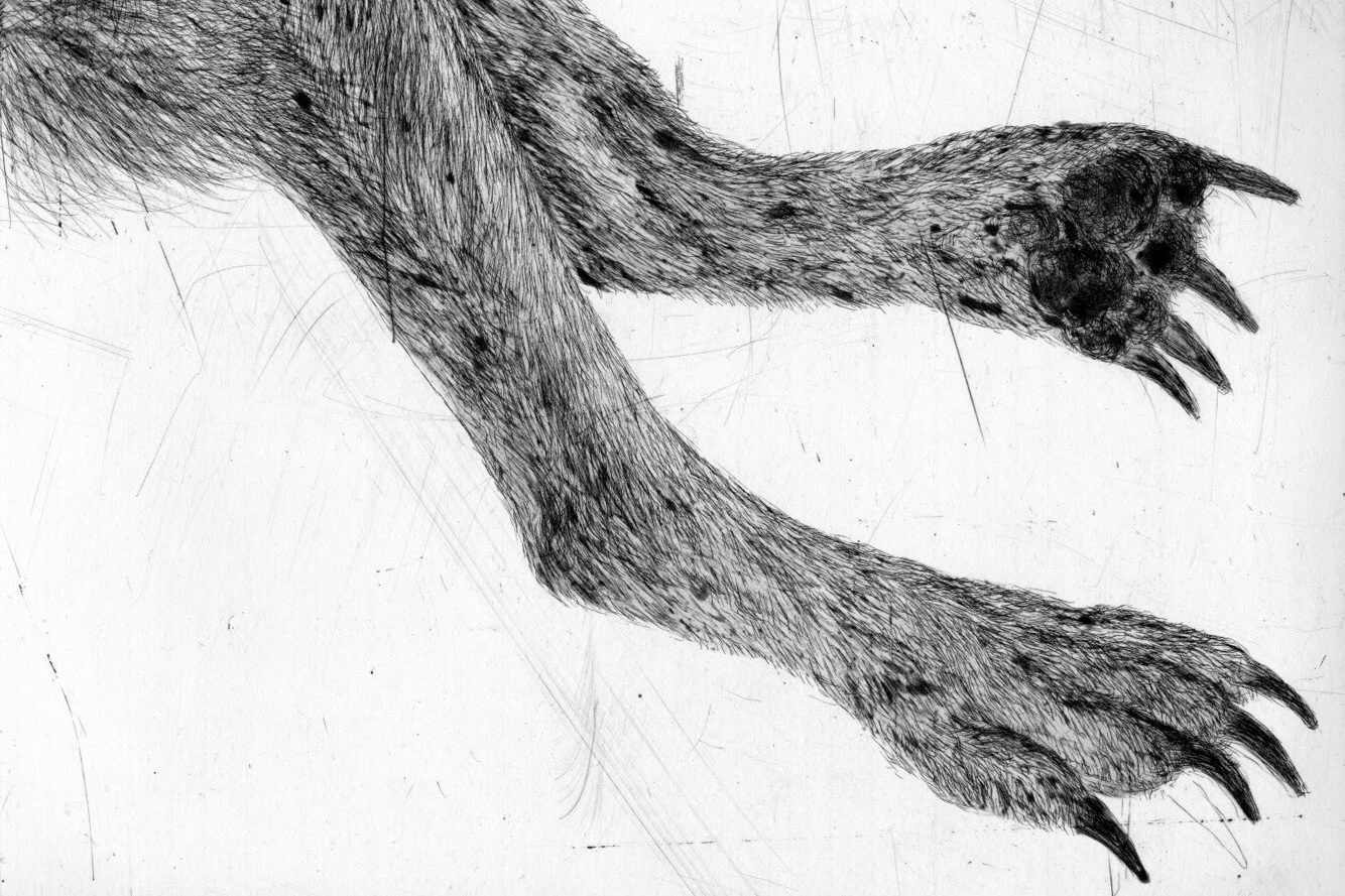Kiki_Smith.jpg