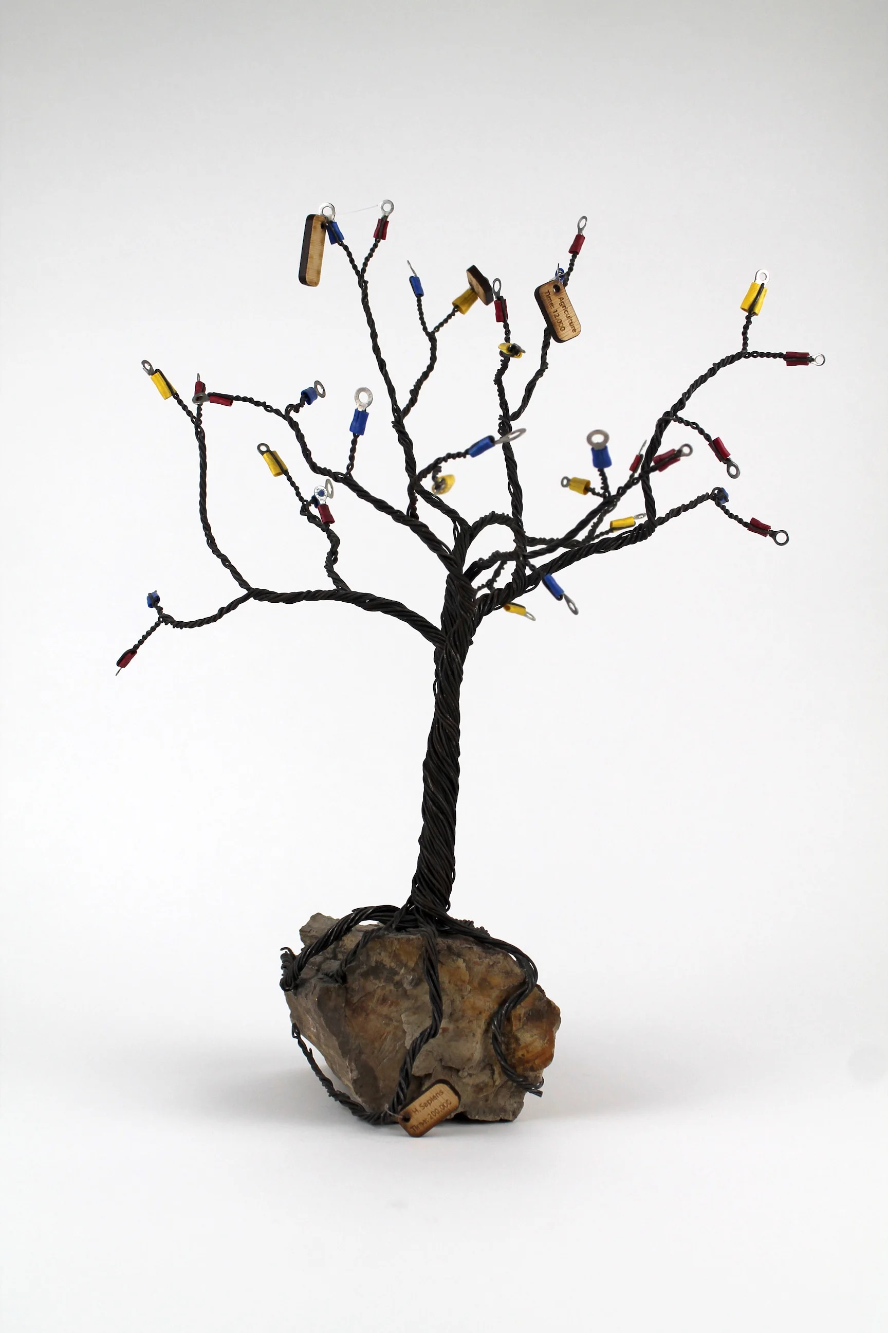 Copy of IMG_1005.jpeg