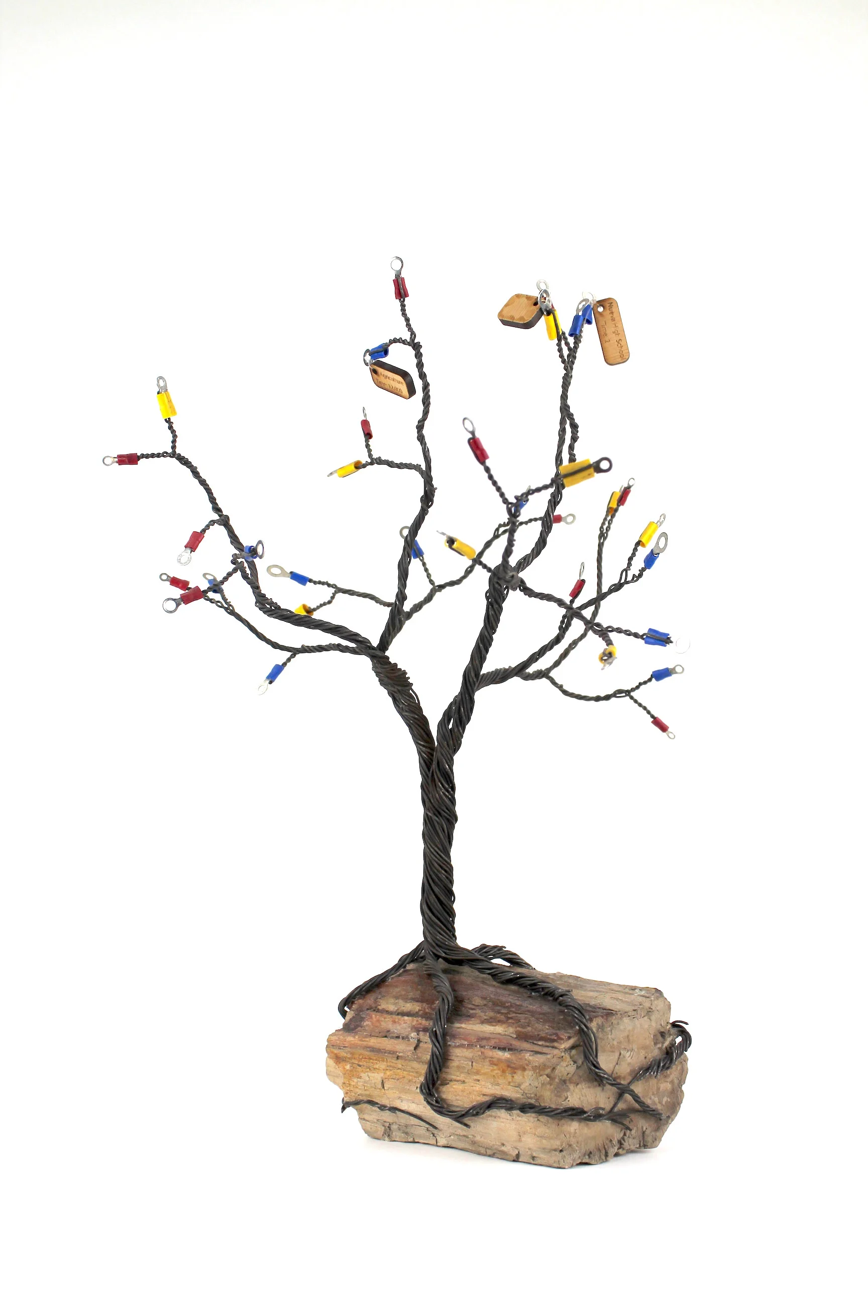 Copy of IMG_1004.jpeg