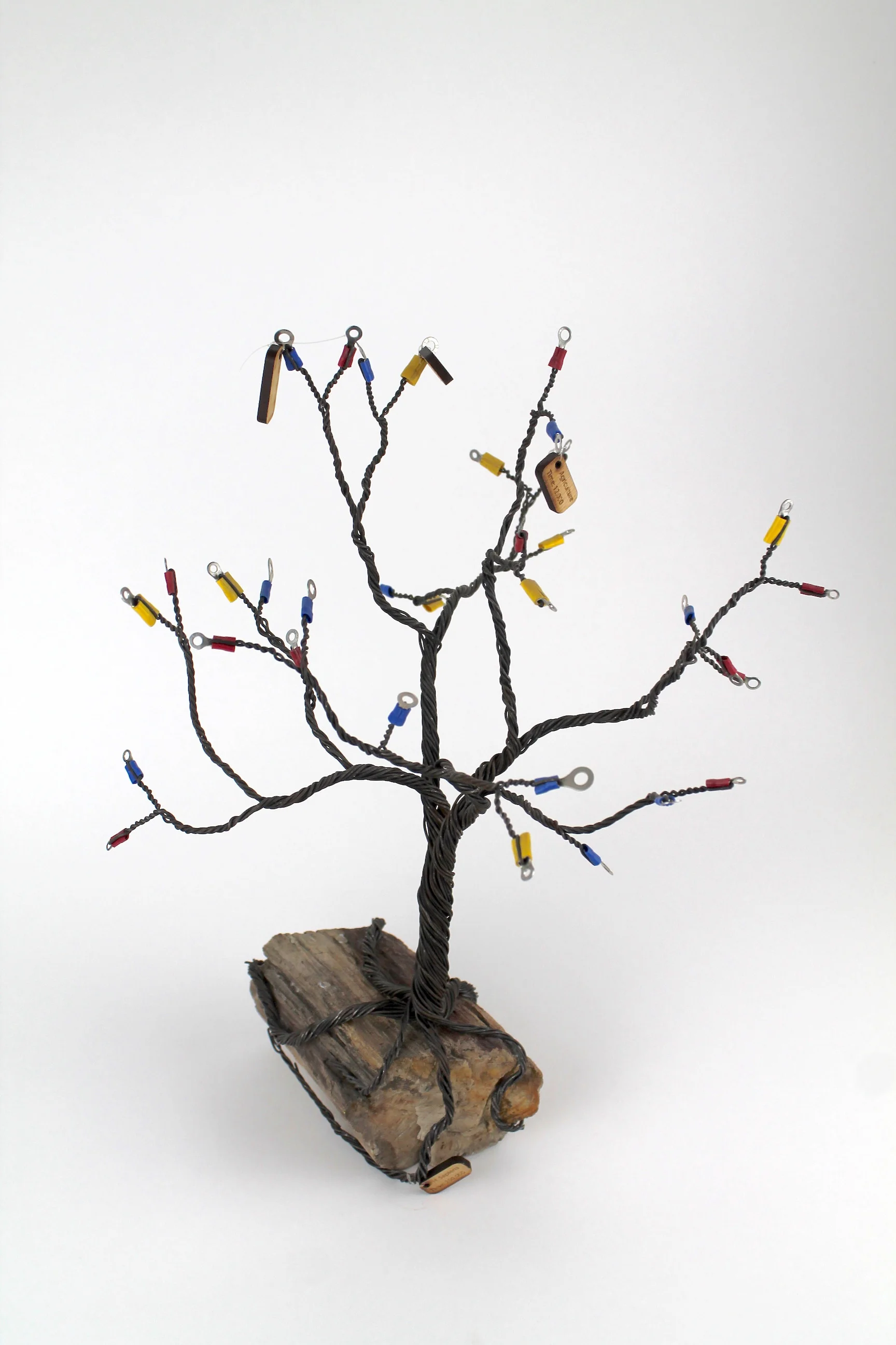 Copy of IMG_1006.jpeg