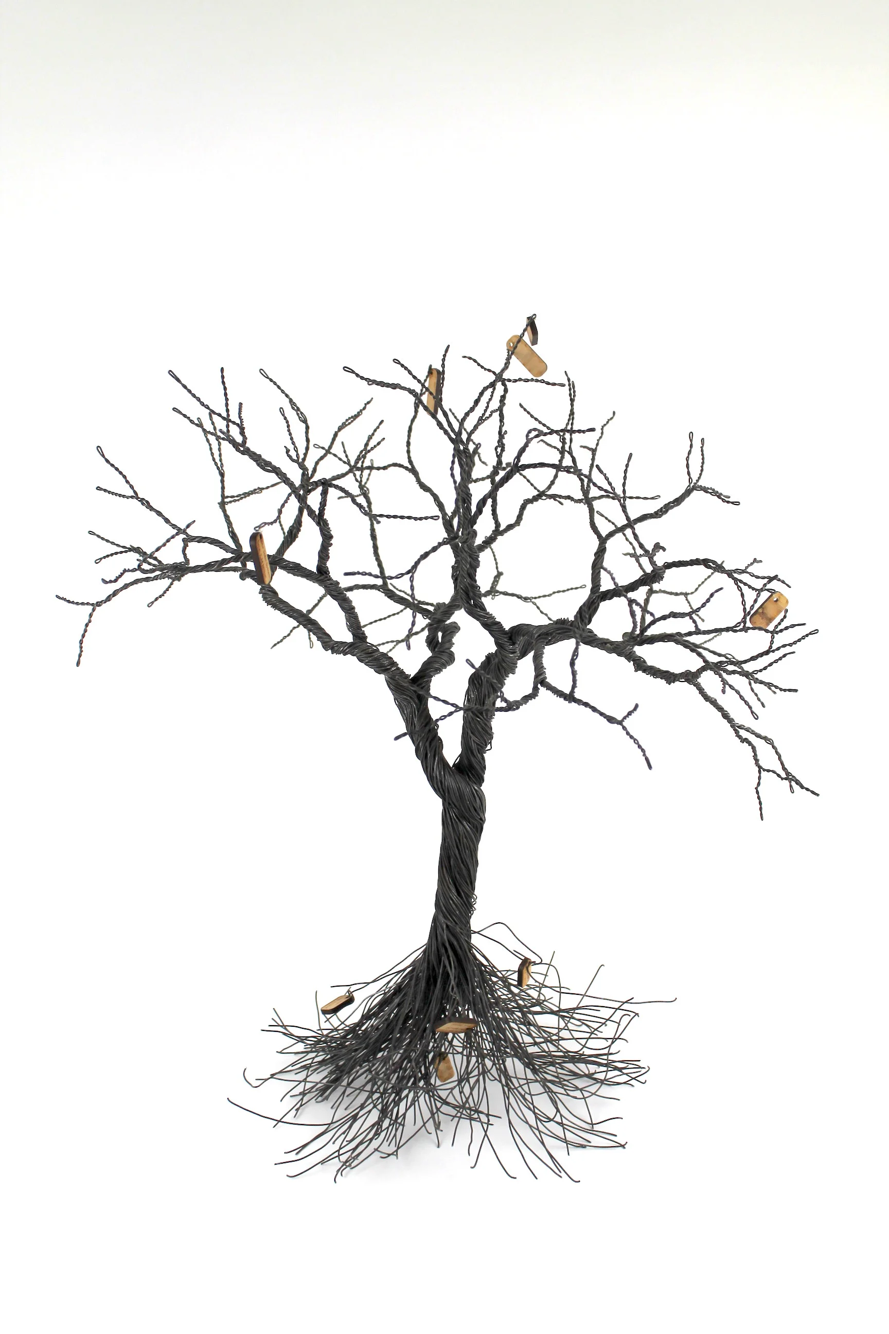 Copy of IMG_1007.jpeg