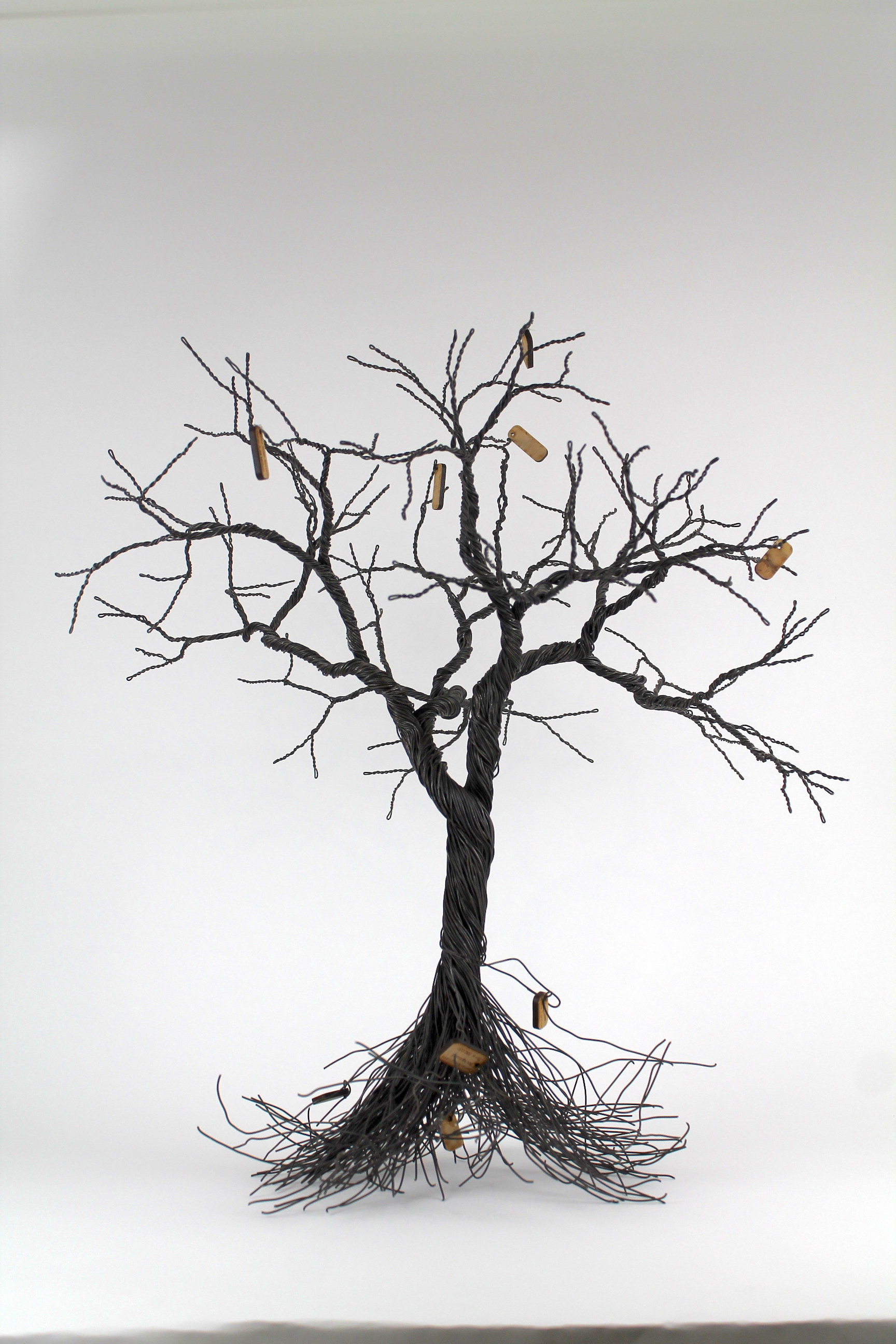 Copy of IMG_1008.jpeg