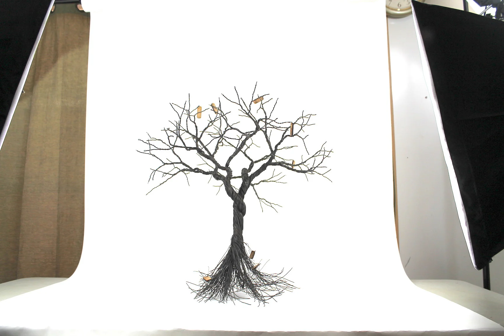 Copy of IMG_1010.jpeg