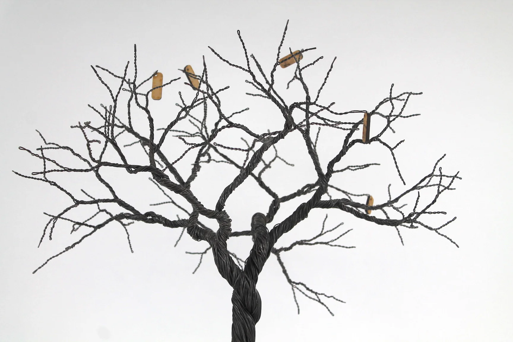 Copy of IMG_1011.jpeg