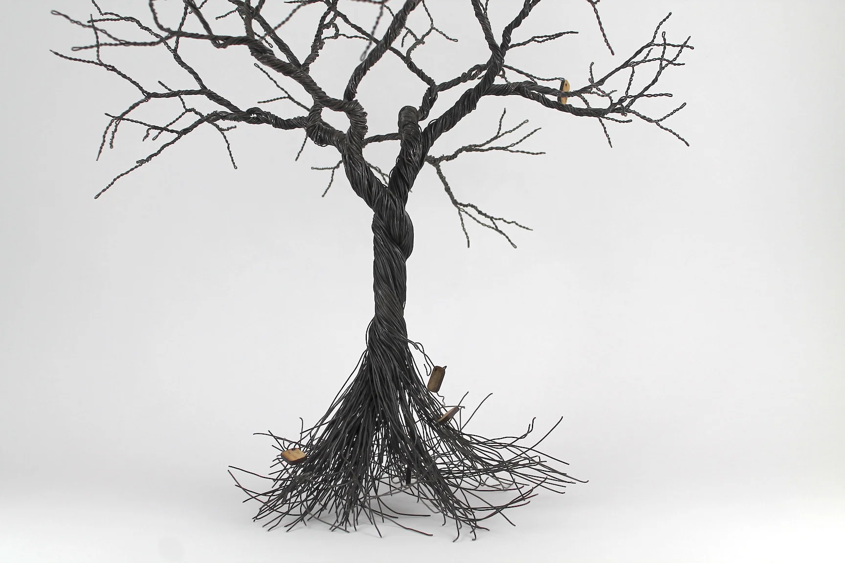 Copy of IMG_1012.jpeg