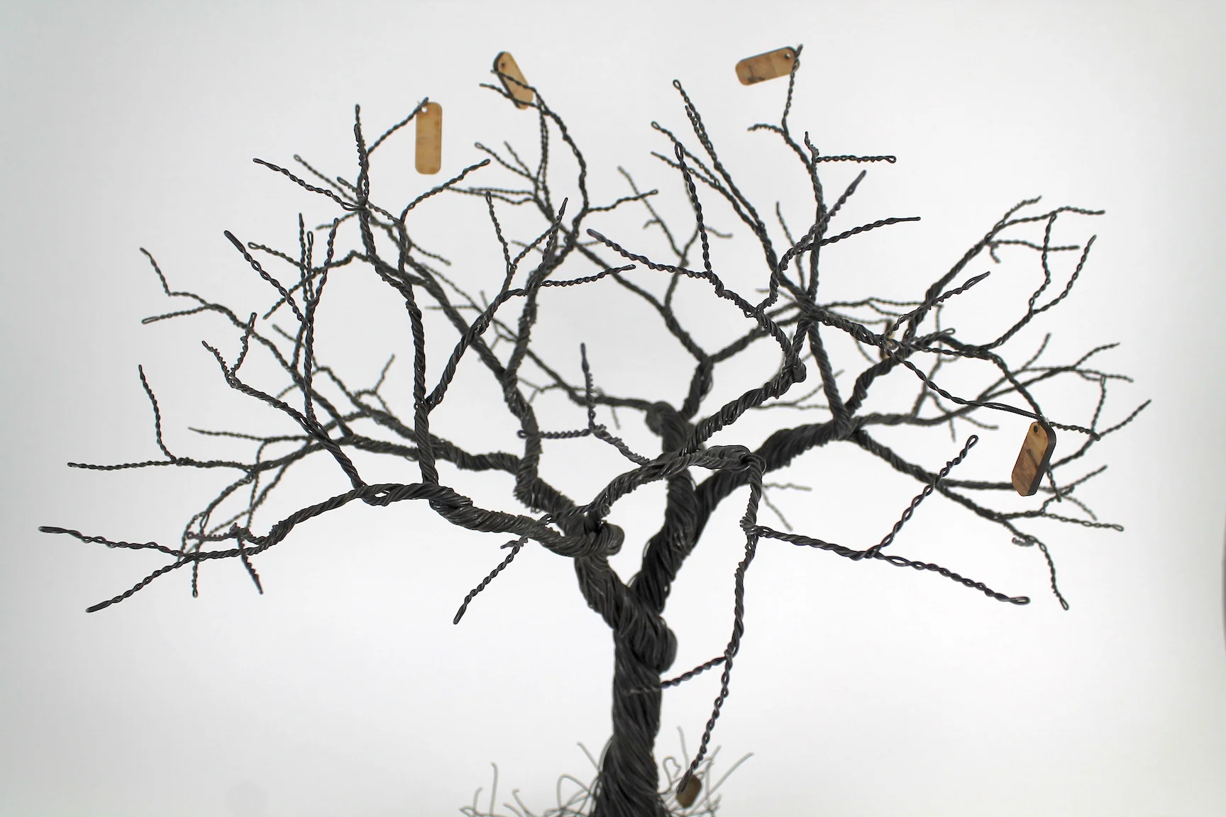 Copy of IMG_1013.jpeg