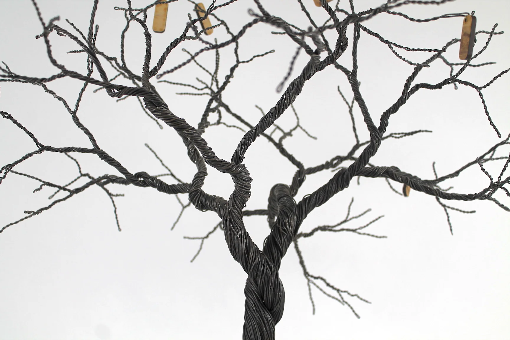 Copy of IMG_1014.jpeg