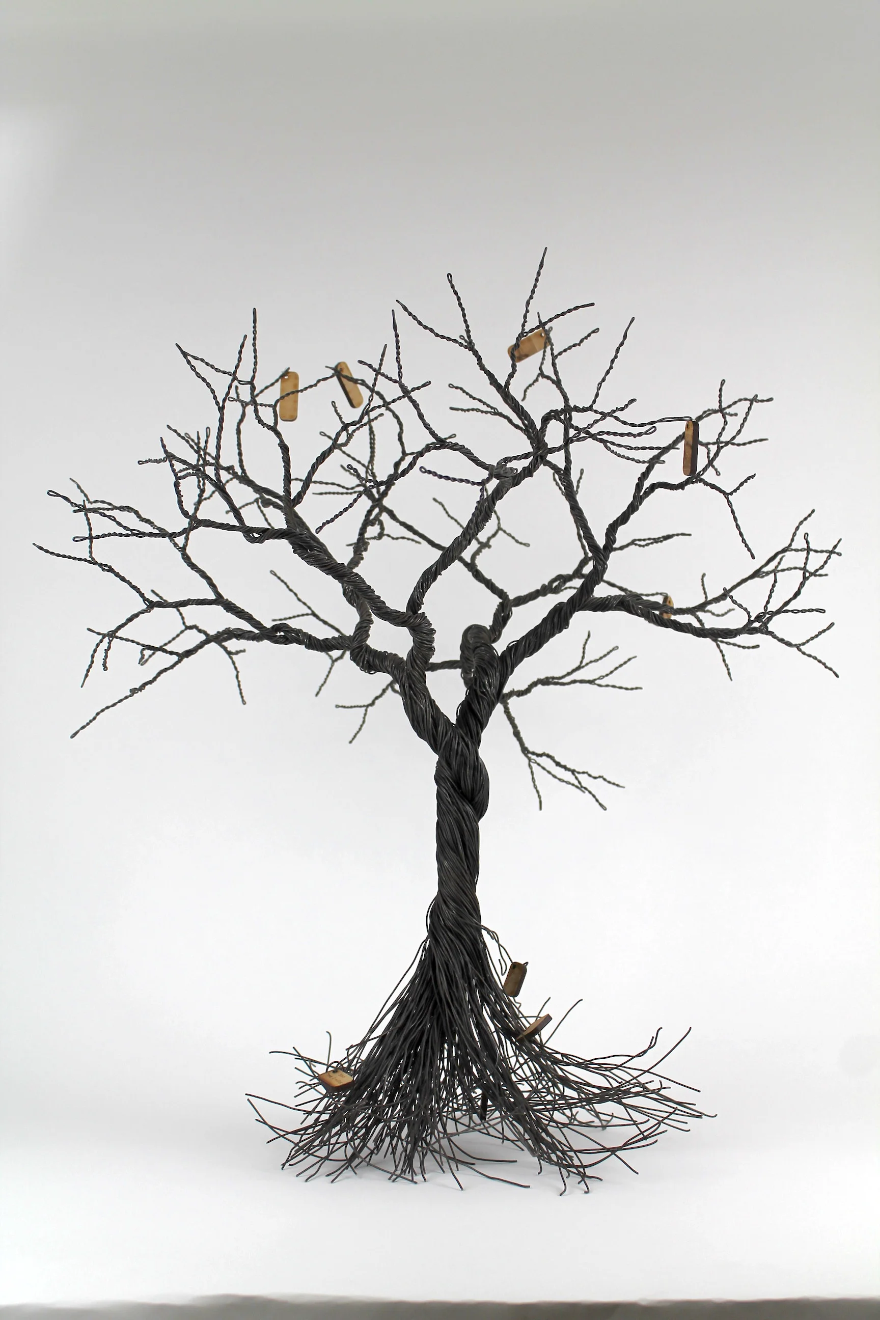 Copy of IMG_1009.jpeg