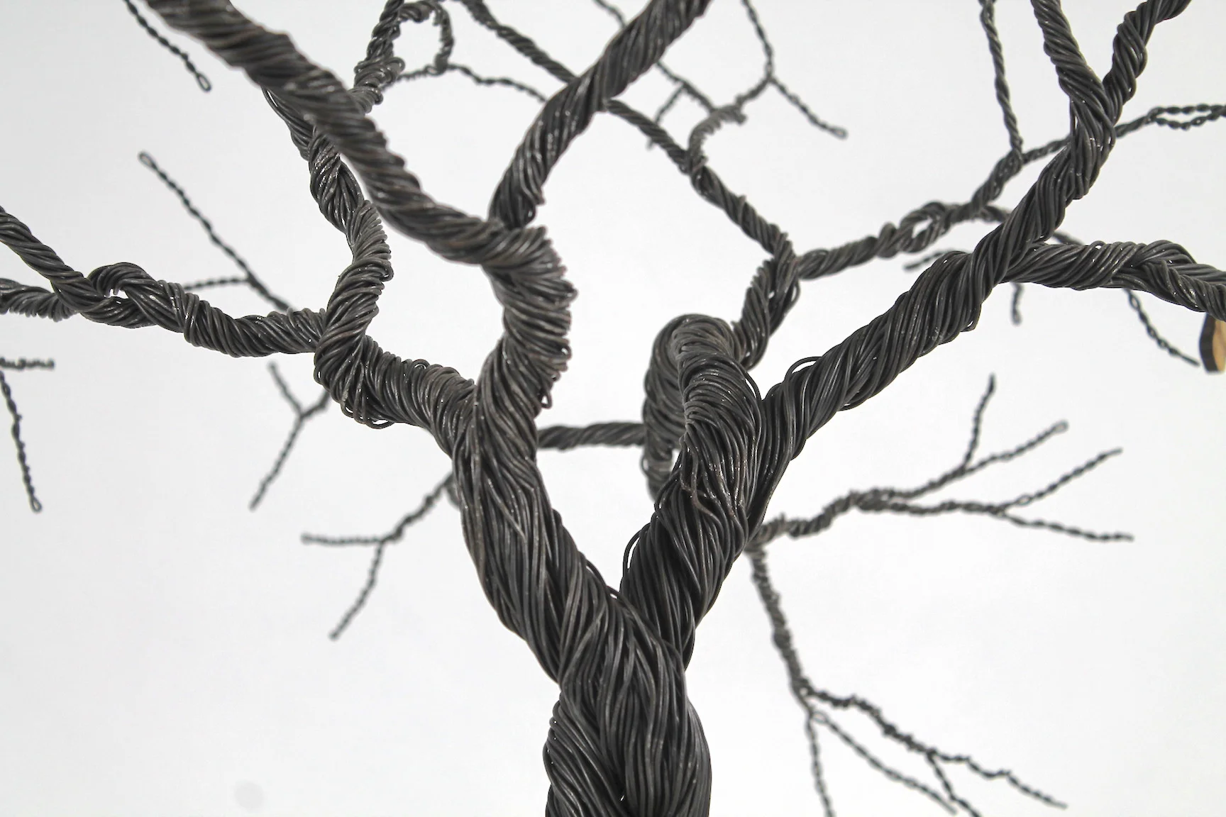 Copy of IMG_1015.jpeg