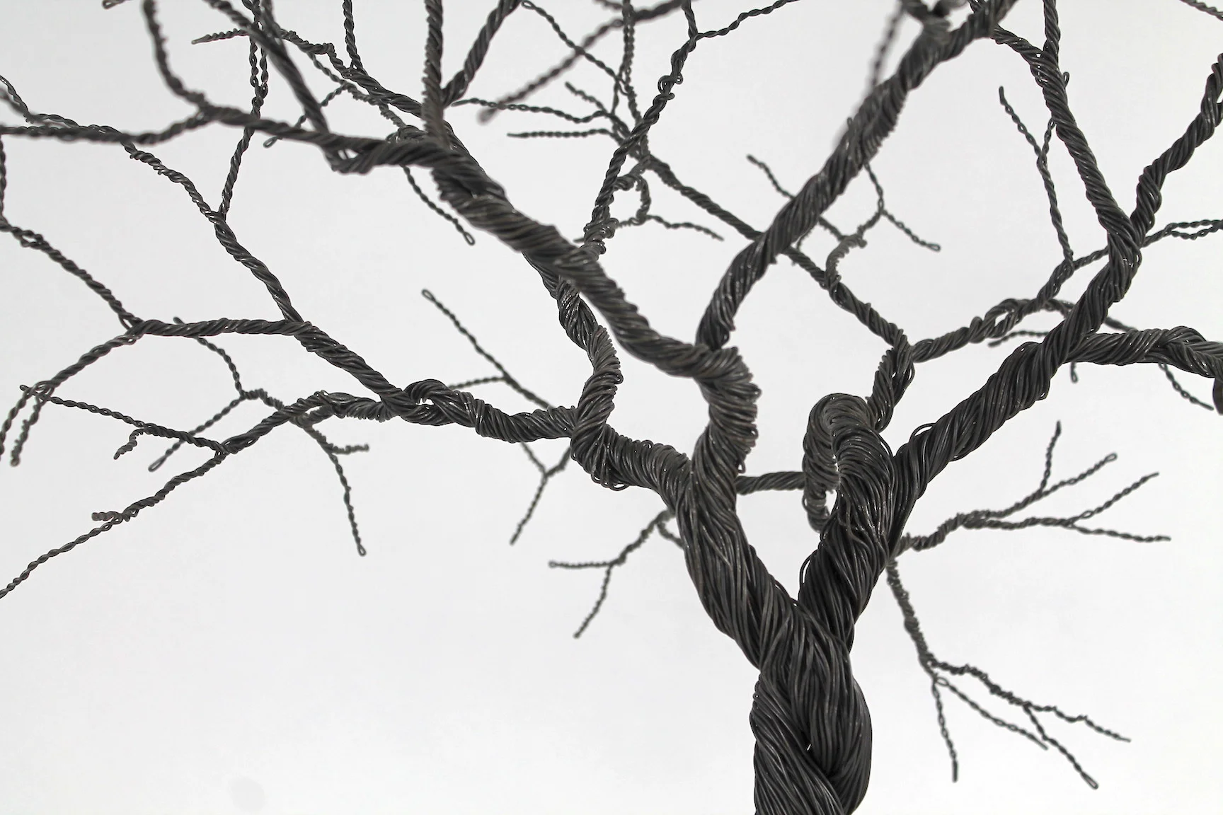 Copy of IMG_1016.jpeg