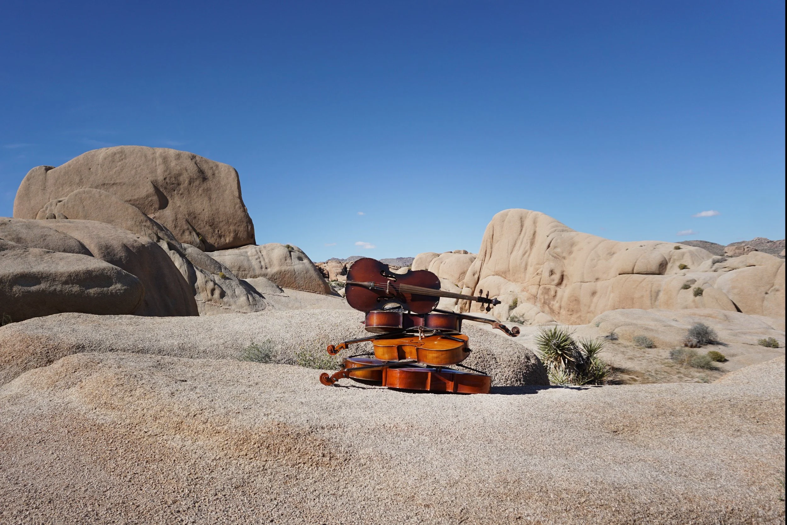 stcked cellos 2.jpg