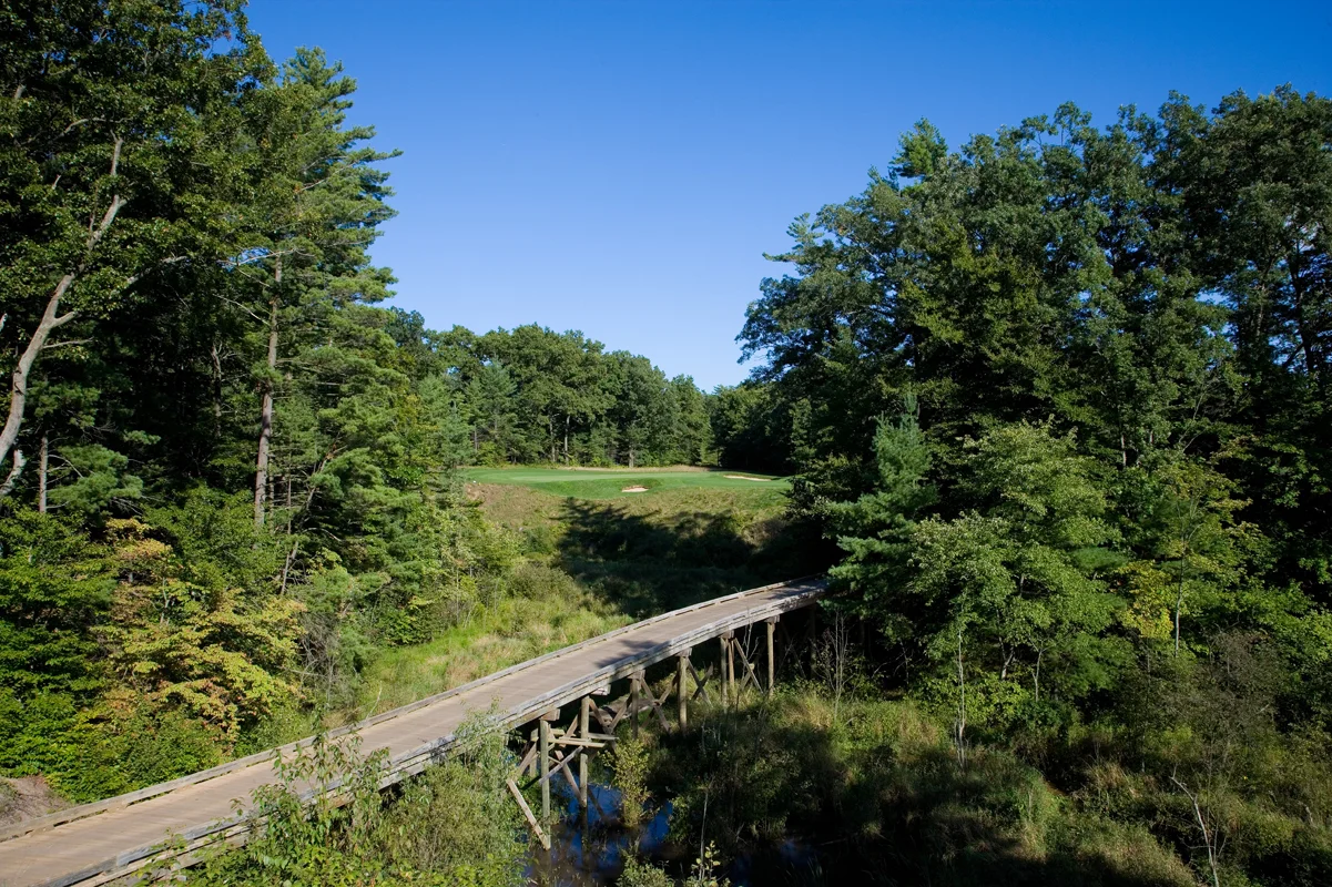 Diamond Springs / Hole 17 / Par 3 / 211 yards
