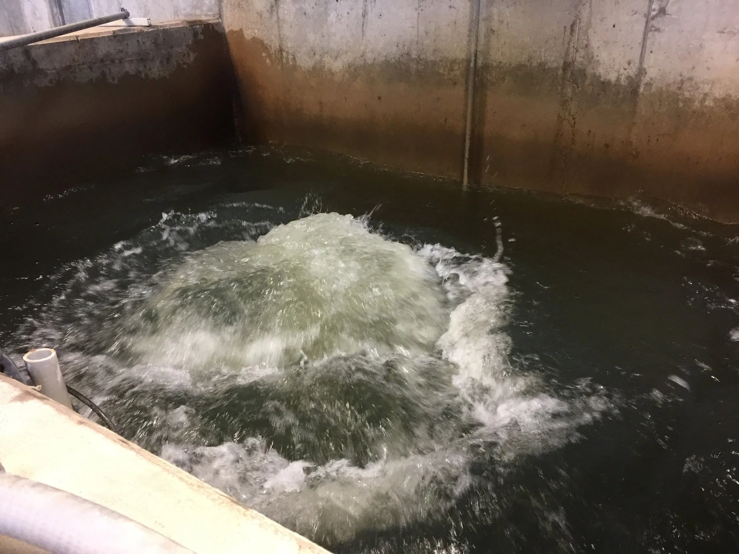 2. Flash Chemical (ACH) Mixer - On inlet water