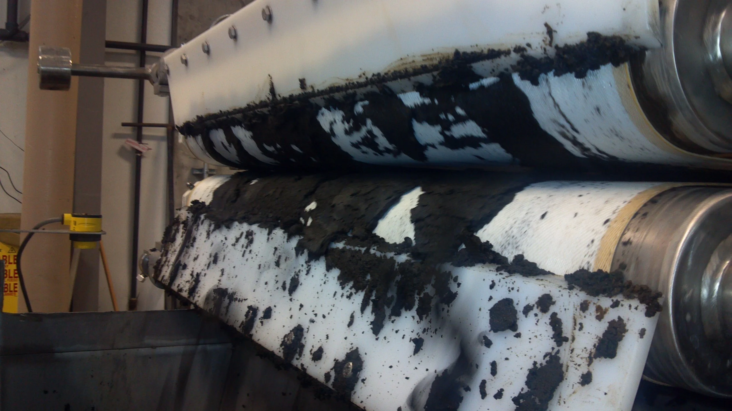 Sludge falling into hopper, where a screw pumps the sludge to a waiting dump truck.