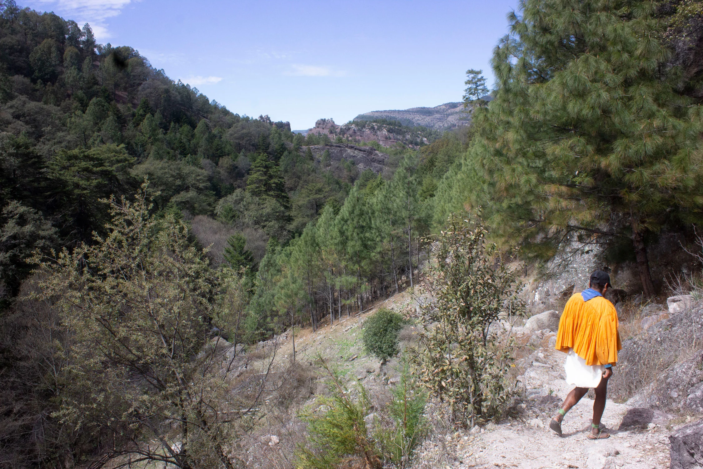 Manuel Luna leds some Mas Locos on a day-hike through the Barrancas.