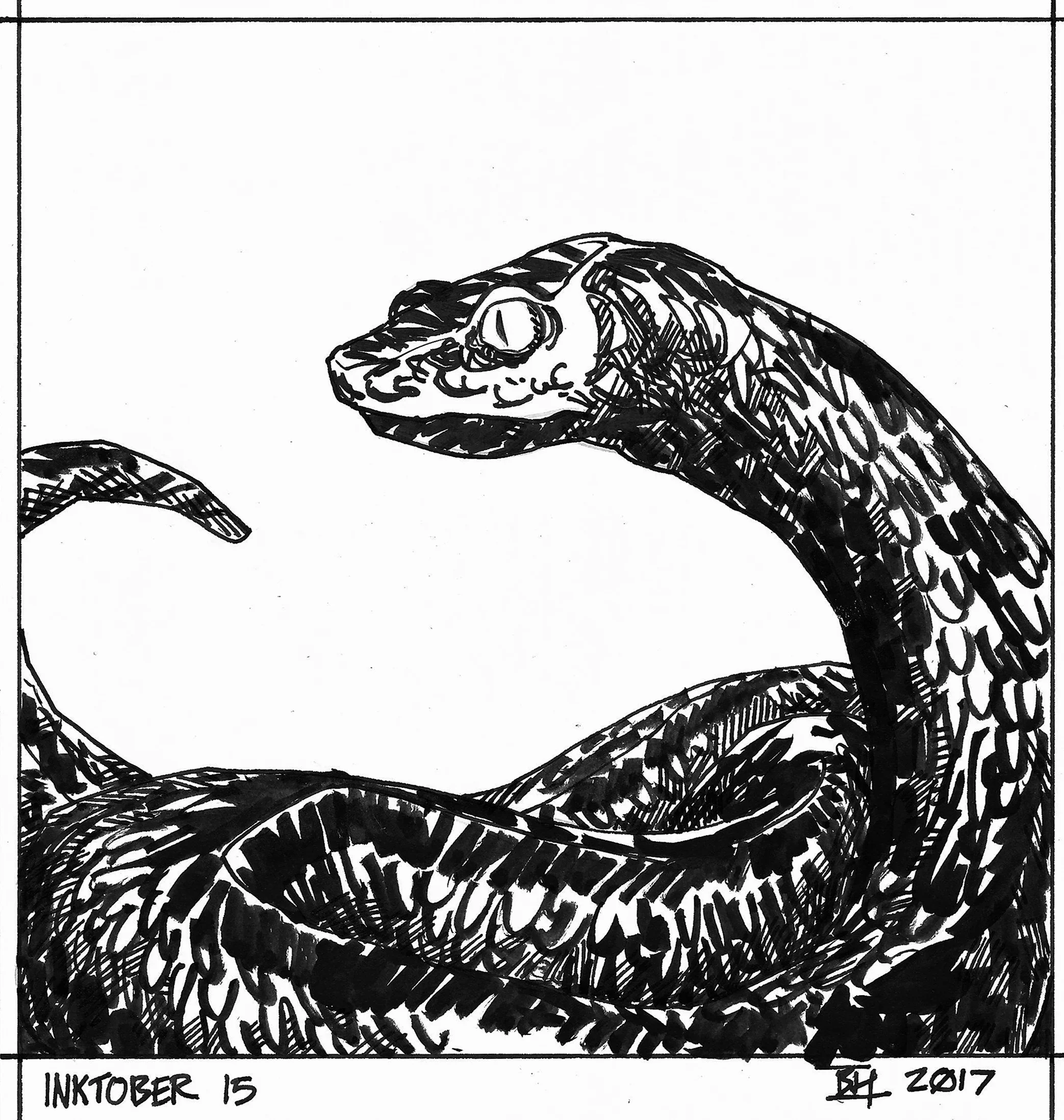 Inktober17_15.jpg