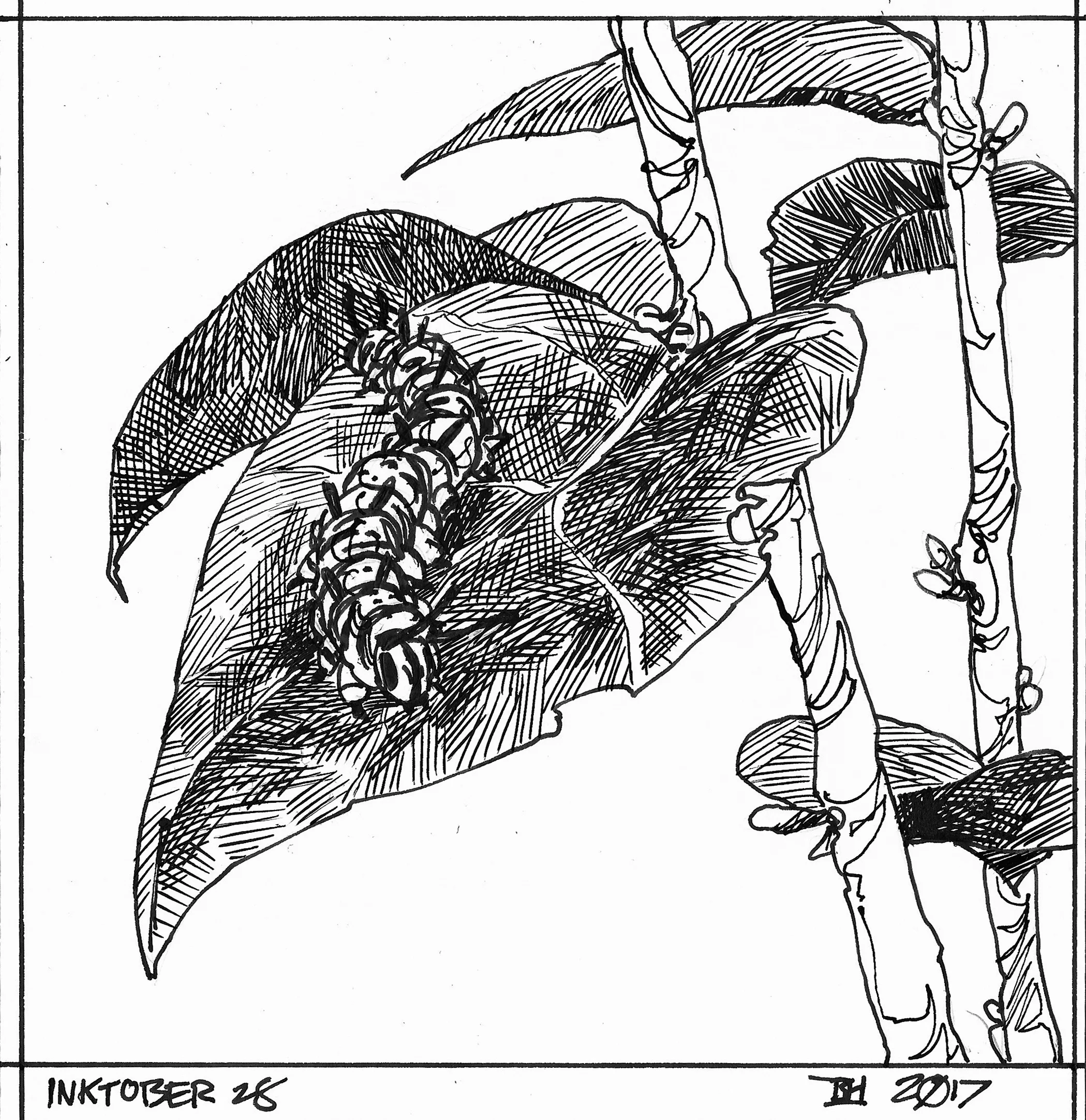 Inktober17_28.jpg