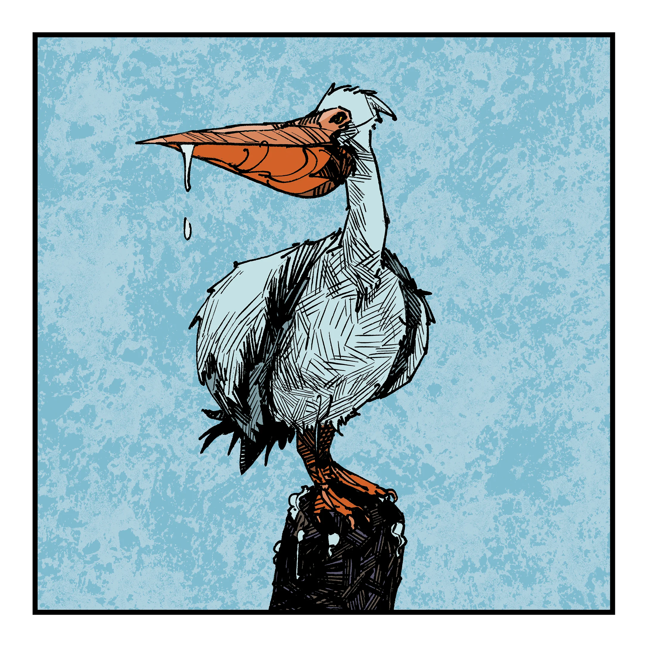 Pelican_Web.jpg