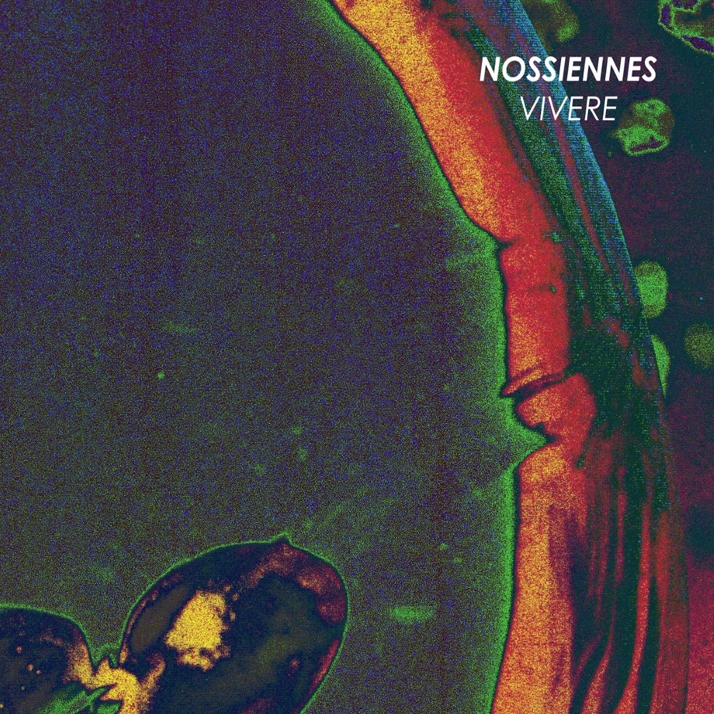 Nossiennes - Vivere Cover.jpg
