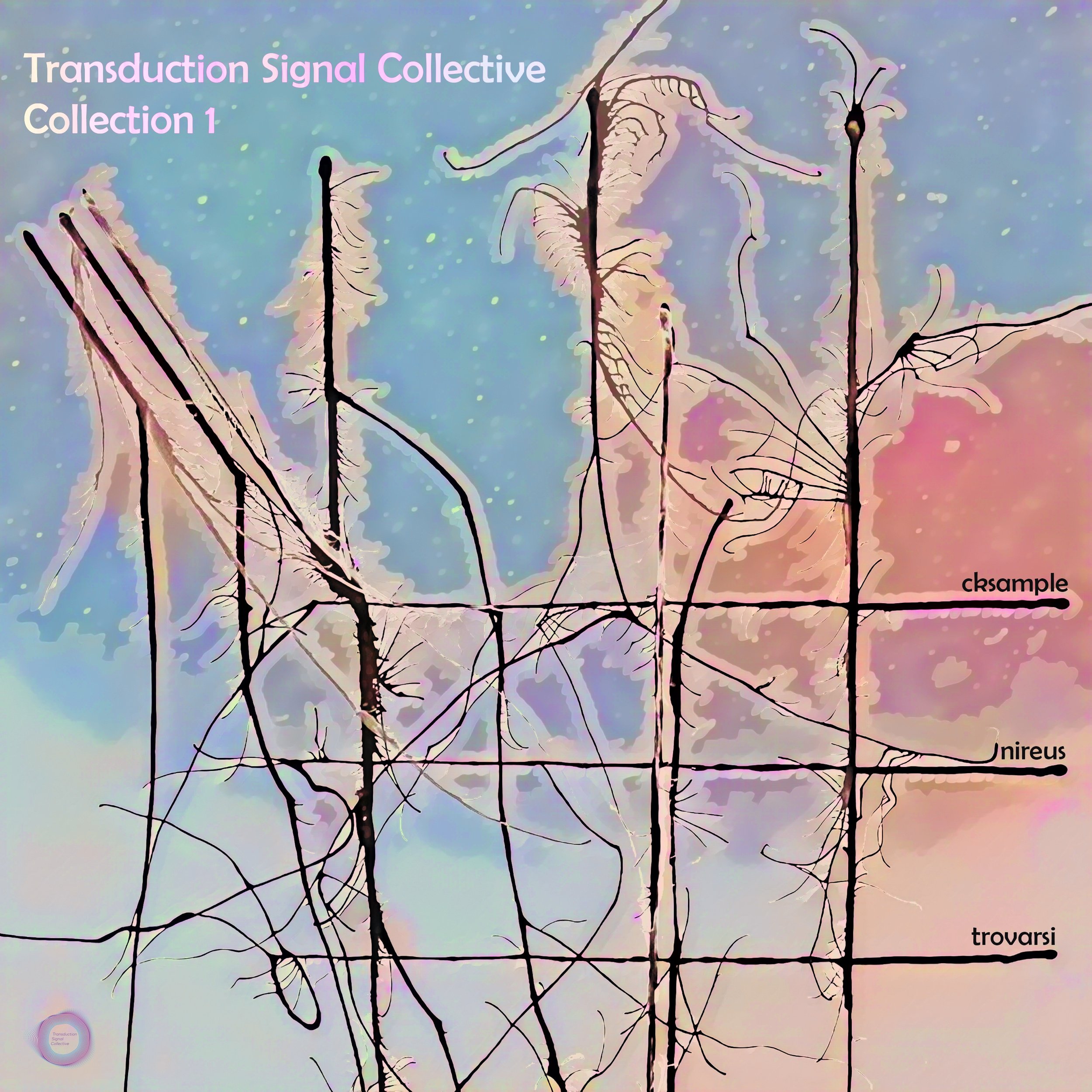 Transduction Signal Collective - Collection 1.jpeg