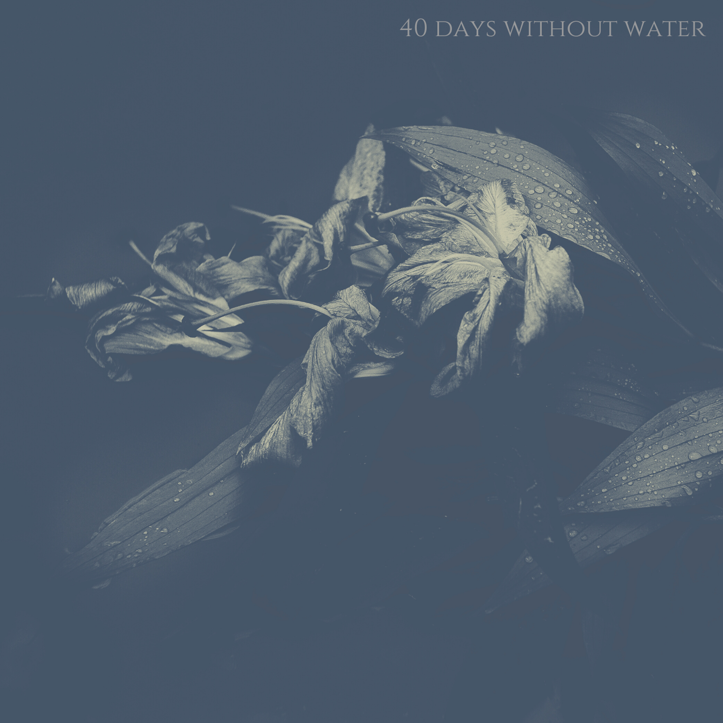 40days artwork (front) 1400x1400.png