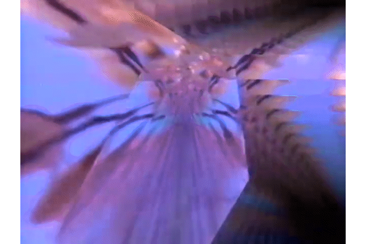 Rock Video_ Cherry Blossom _ Shigeko Kubota 1986, color, silent (4)_1.gif
