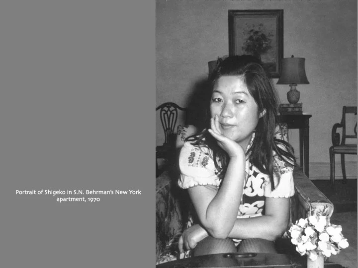Shigeko Kubota 2.002.jpeg