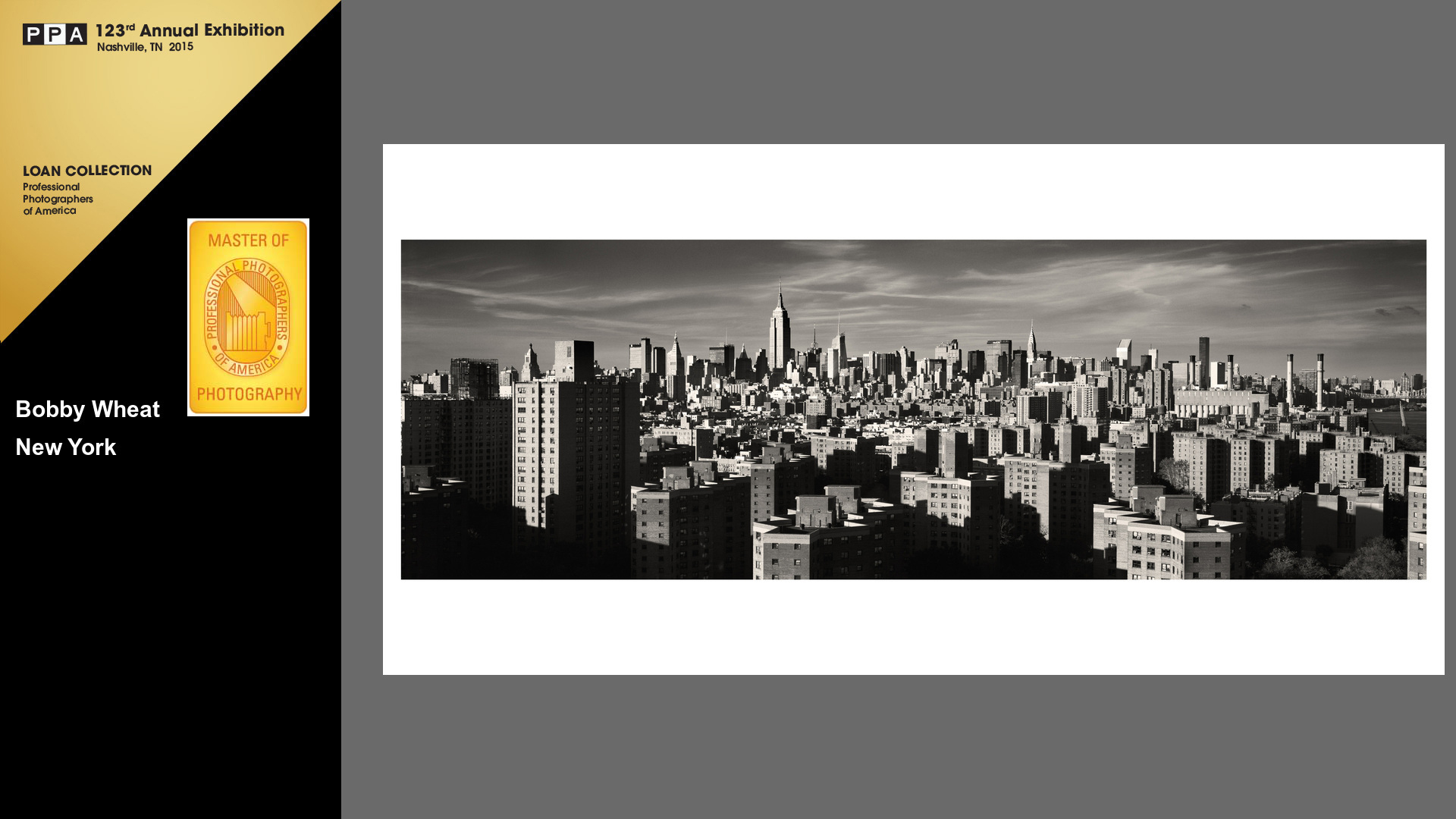New York No. 1 | Platinum Medal + Loan Collection (Highest Honor) | 2014 PPA International Competition