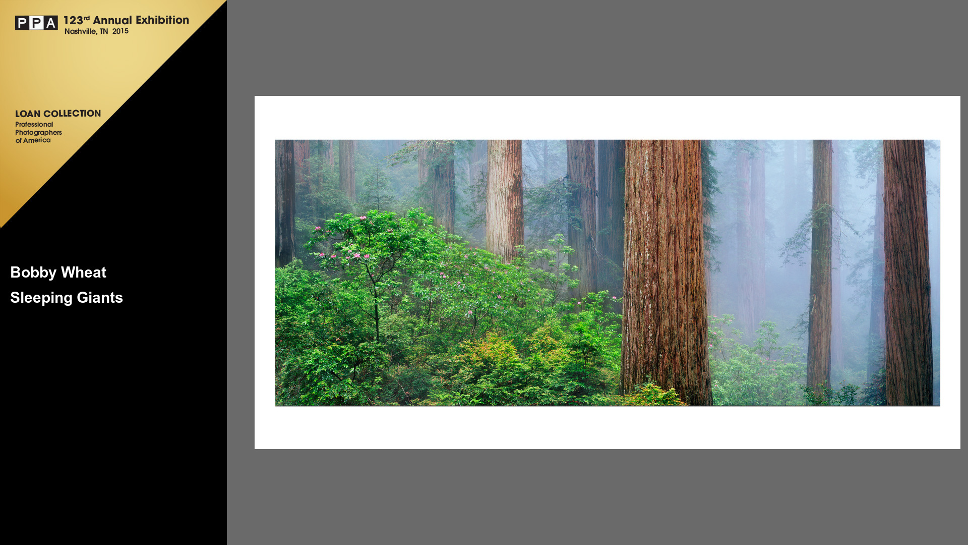 Sleeping Giants | Platinum Medal + Loan Collection (Highest Honor) | 2014 PPA International Competition