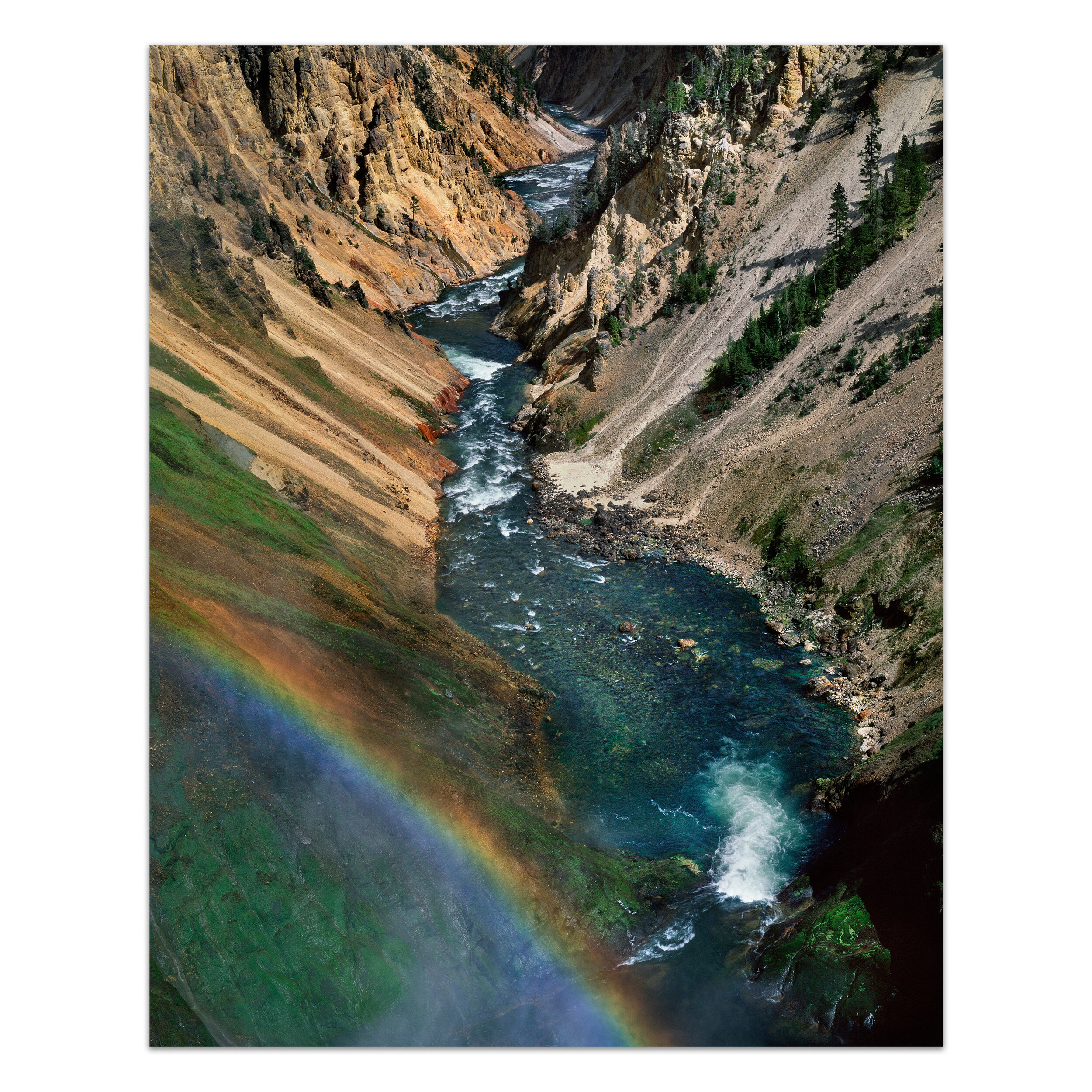 Over the Edge Image 12%22 Bookjpeg.jpg