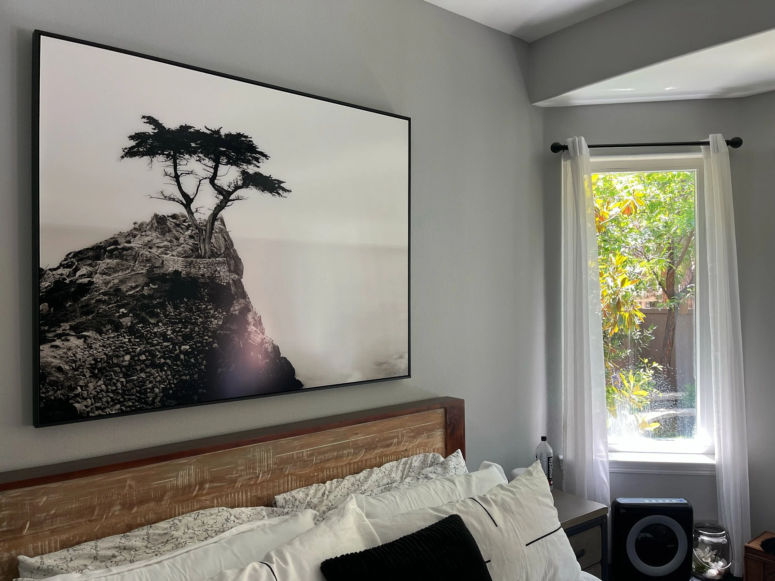 0D9FF42C-80FF-462C-B500-BAAAB35F6C0C 2.JPG