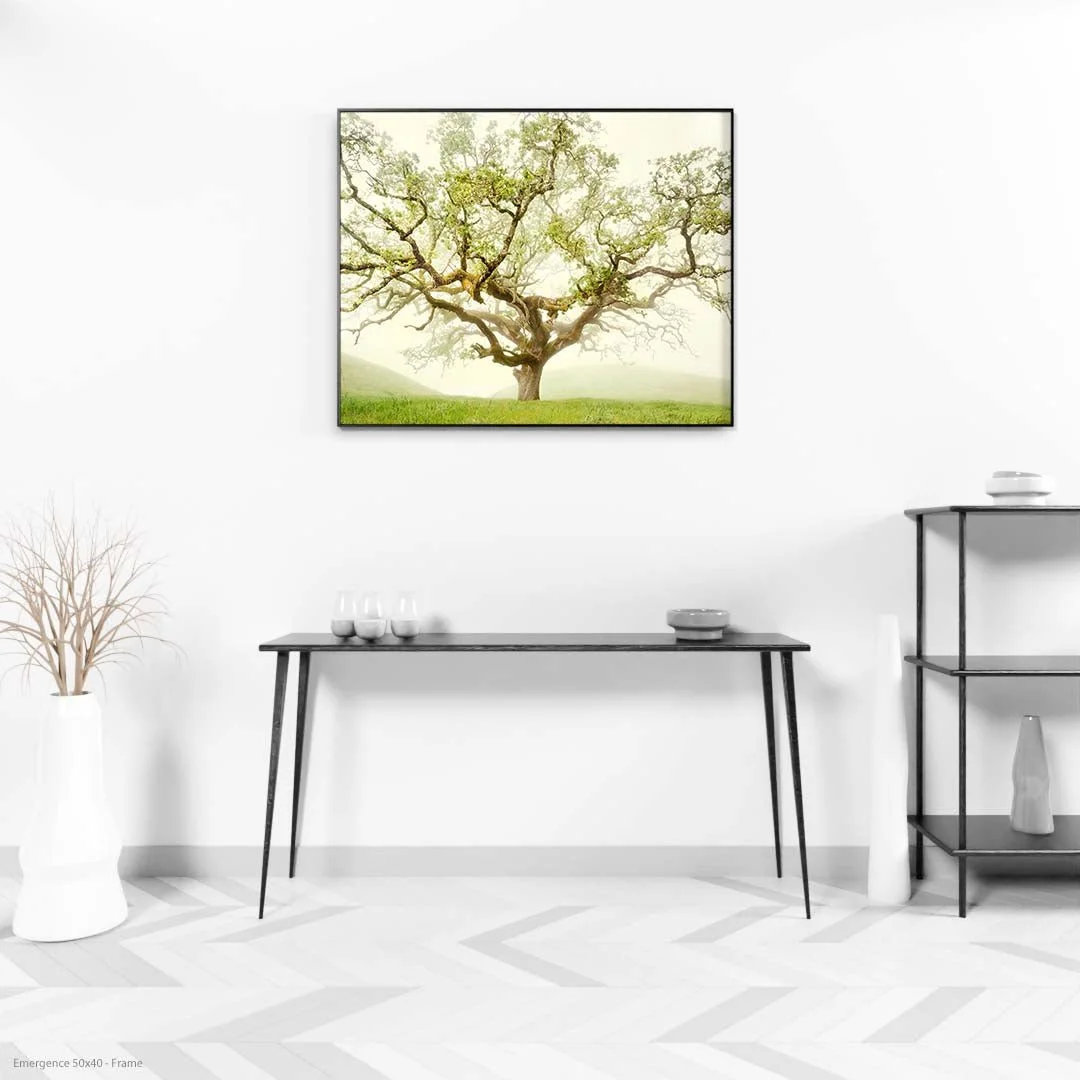 Emergence50x40-Frame.jpg
