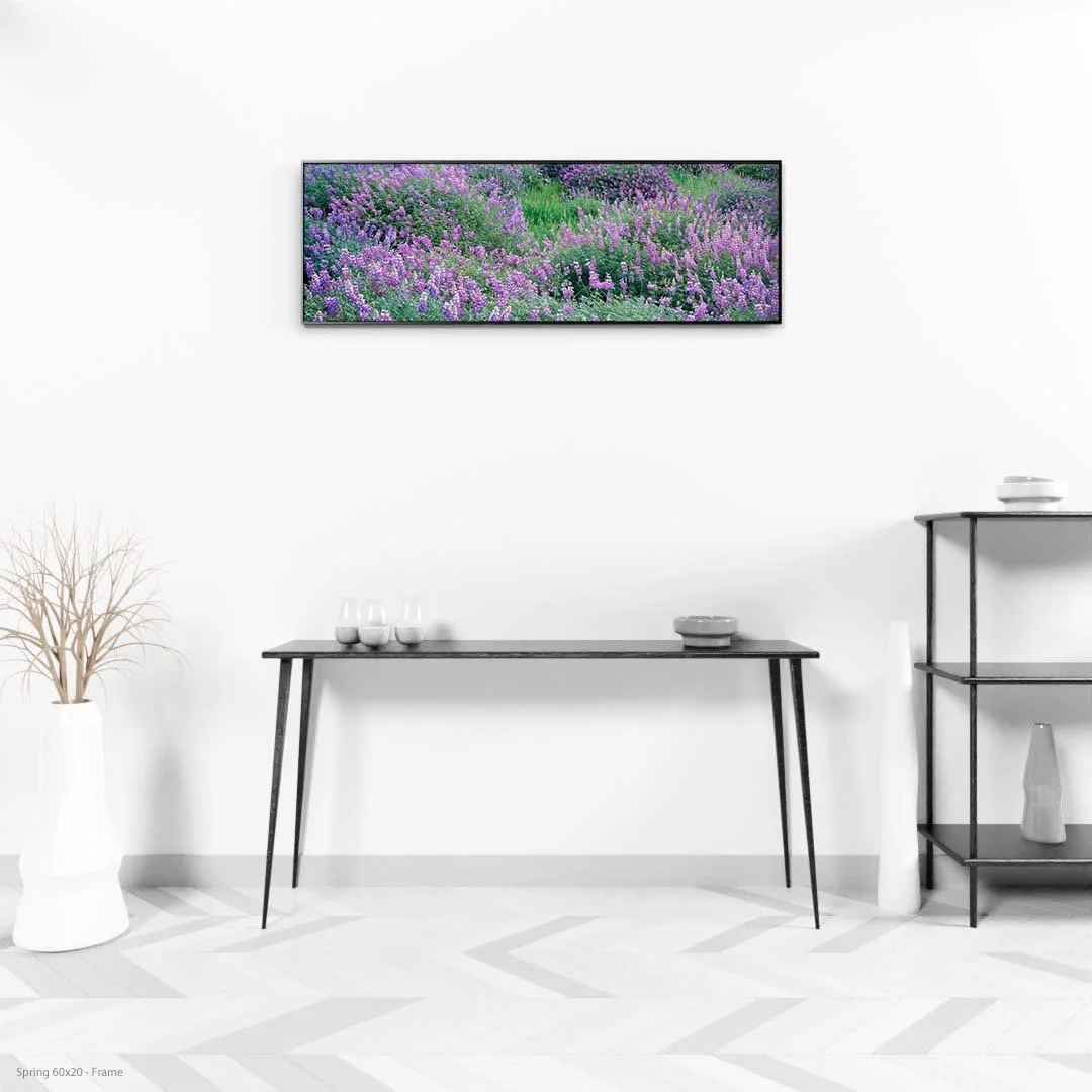 Spring 60x20 - Frame.jpg