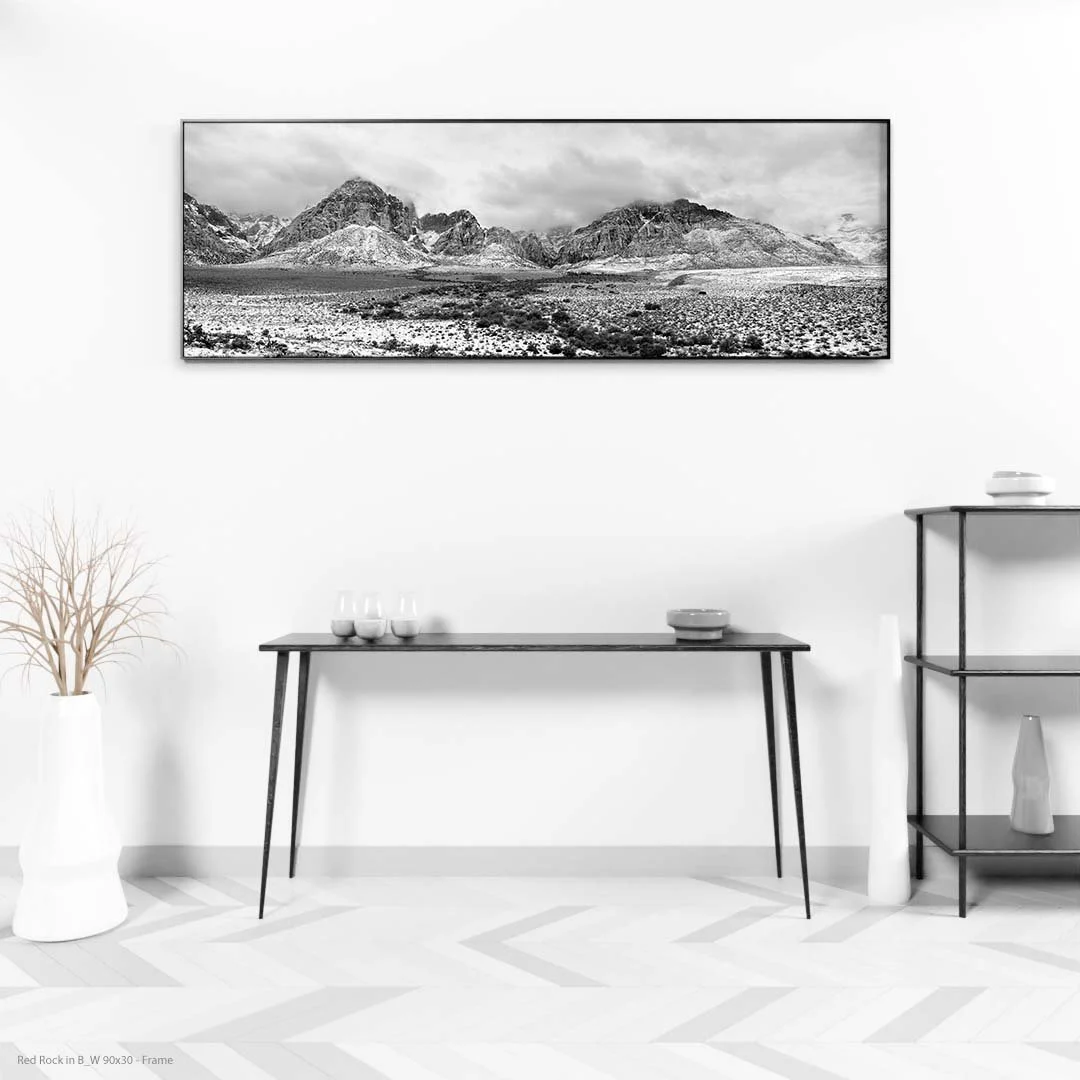 Red Rock in B_W 90x30 - Frame.jpg